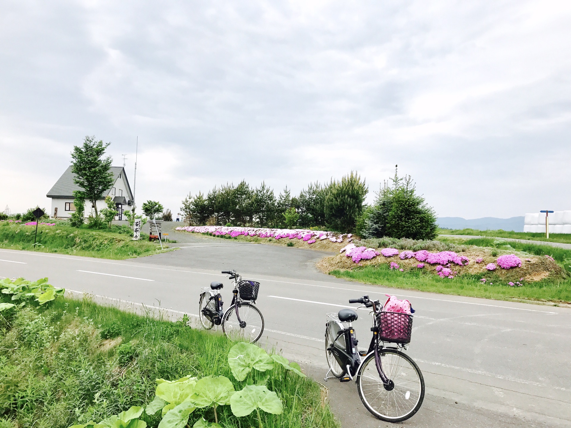 札幌自助遊攻略