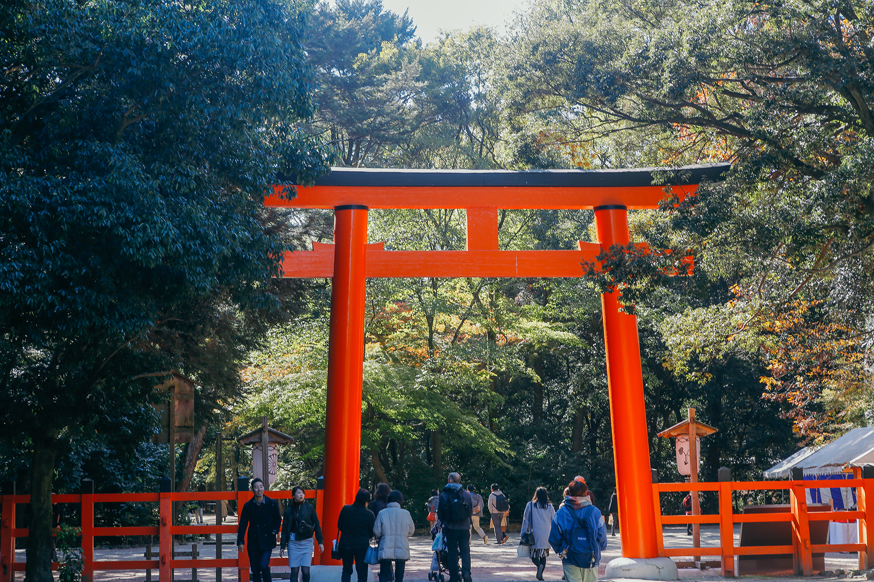 京都自助遊攻略