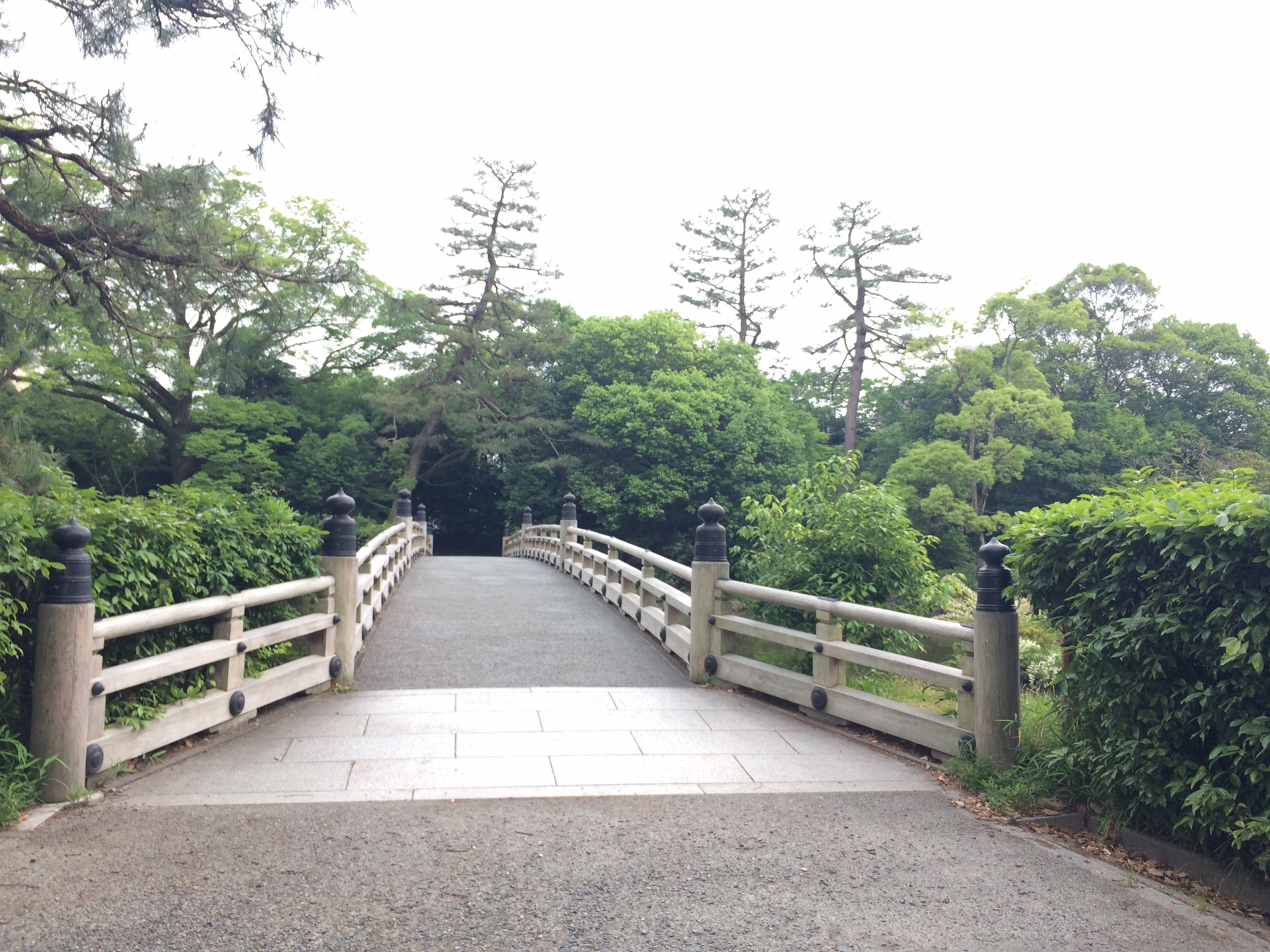 京都自助遊攻略