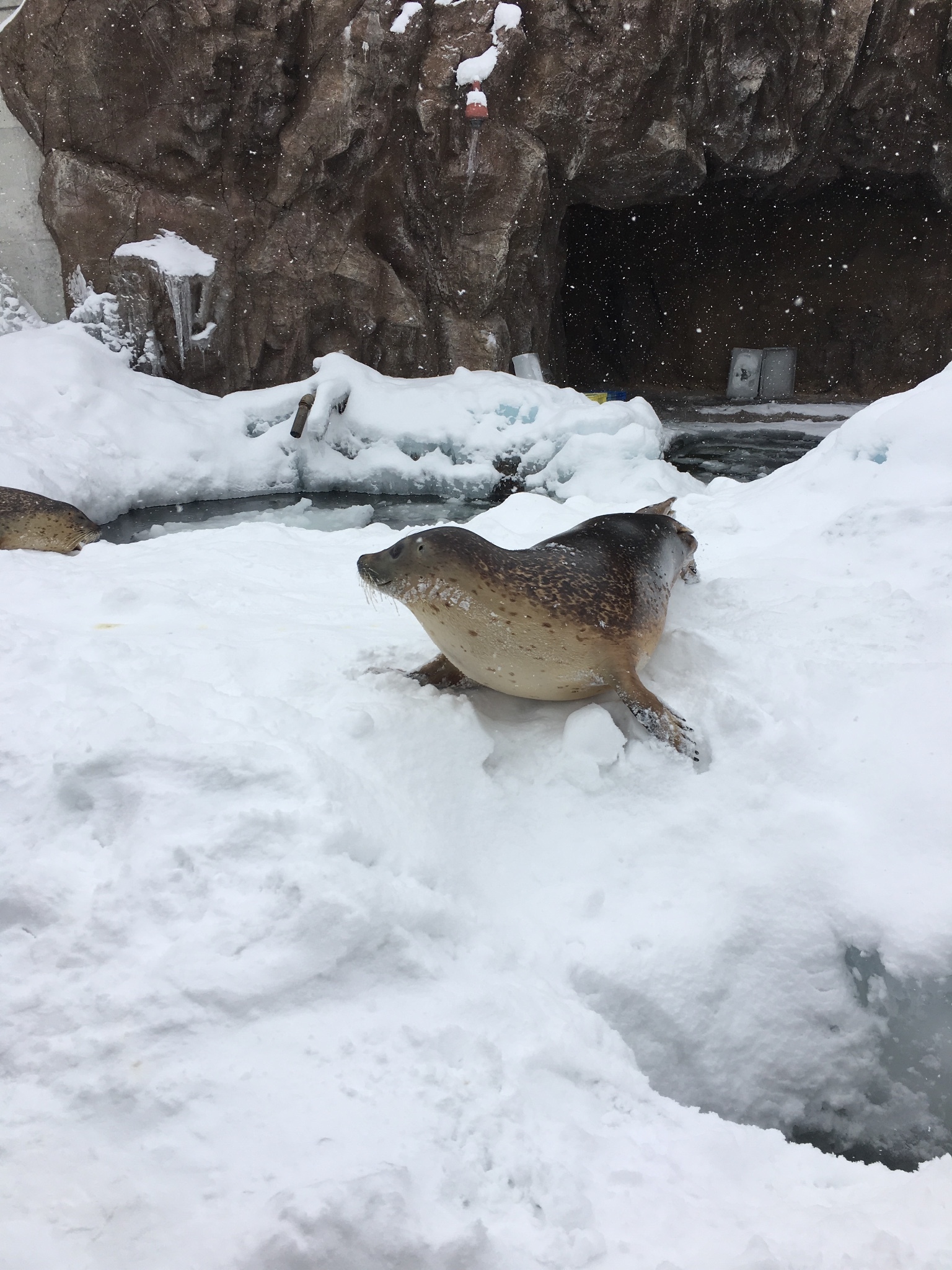 北海道自助遊攻略