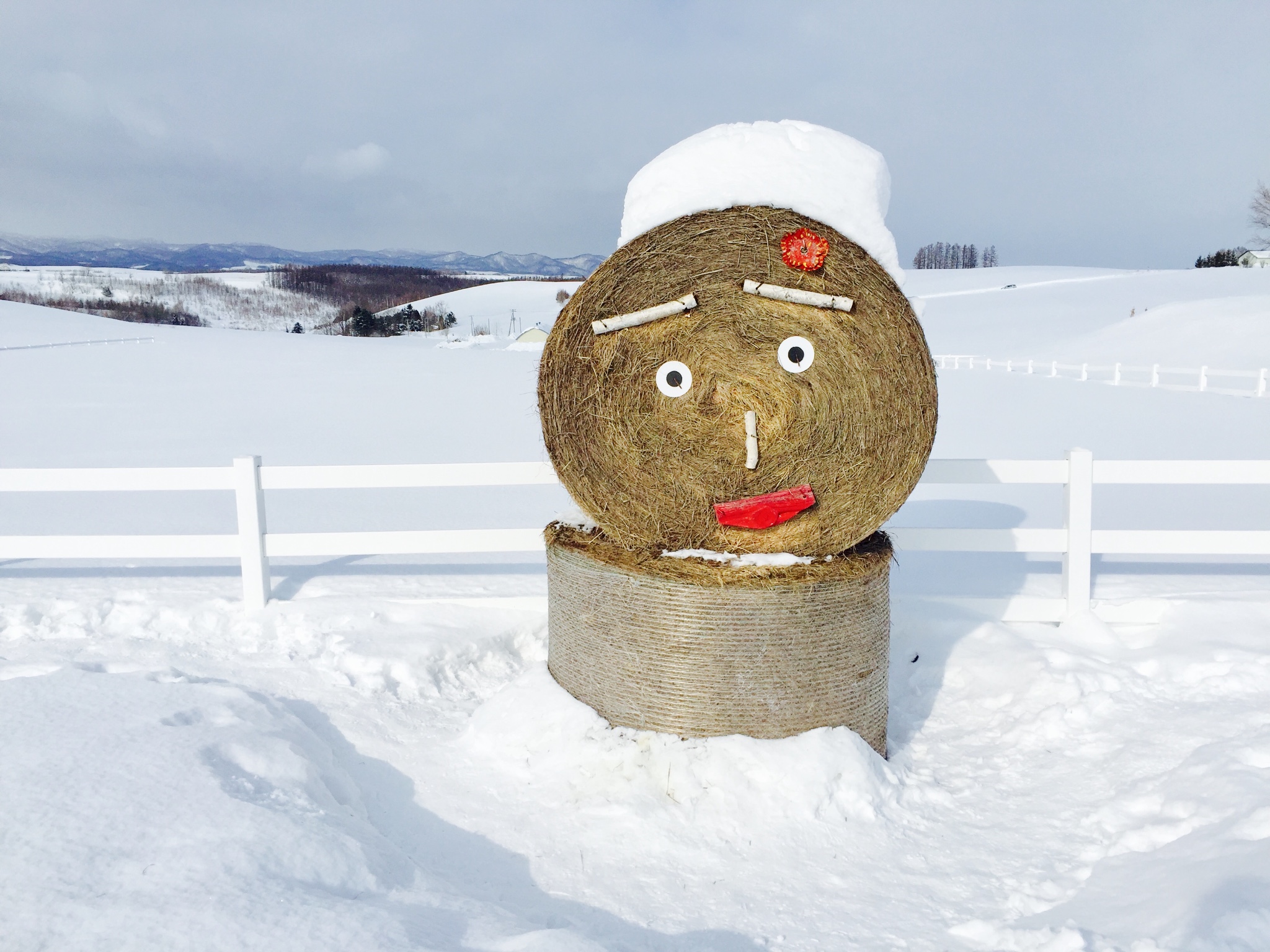 北海道自助遊攻略