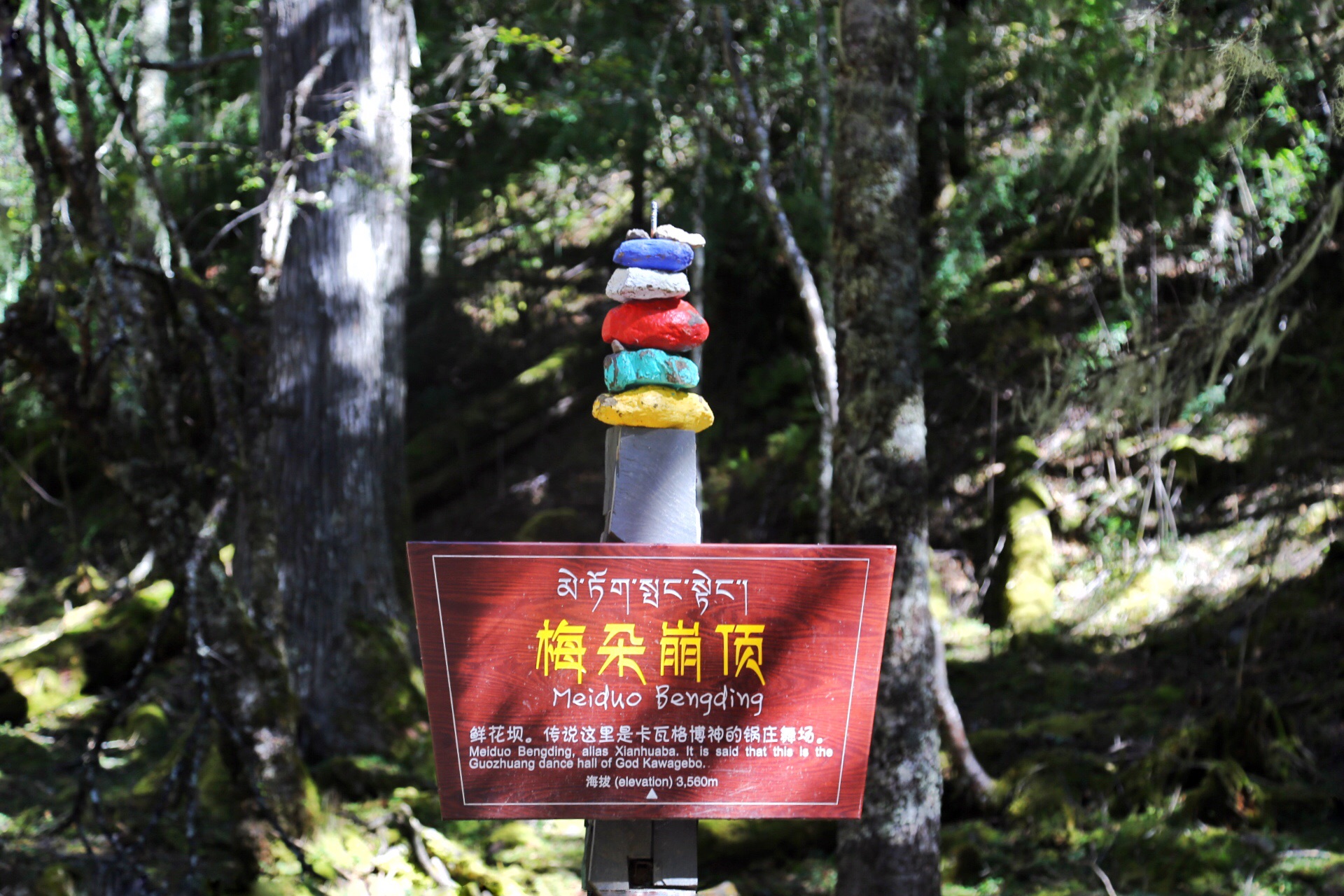 雨崩自助遊攻略