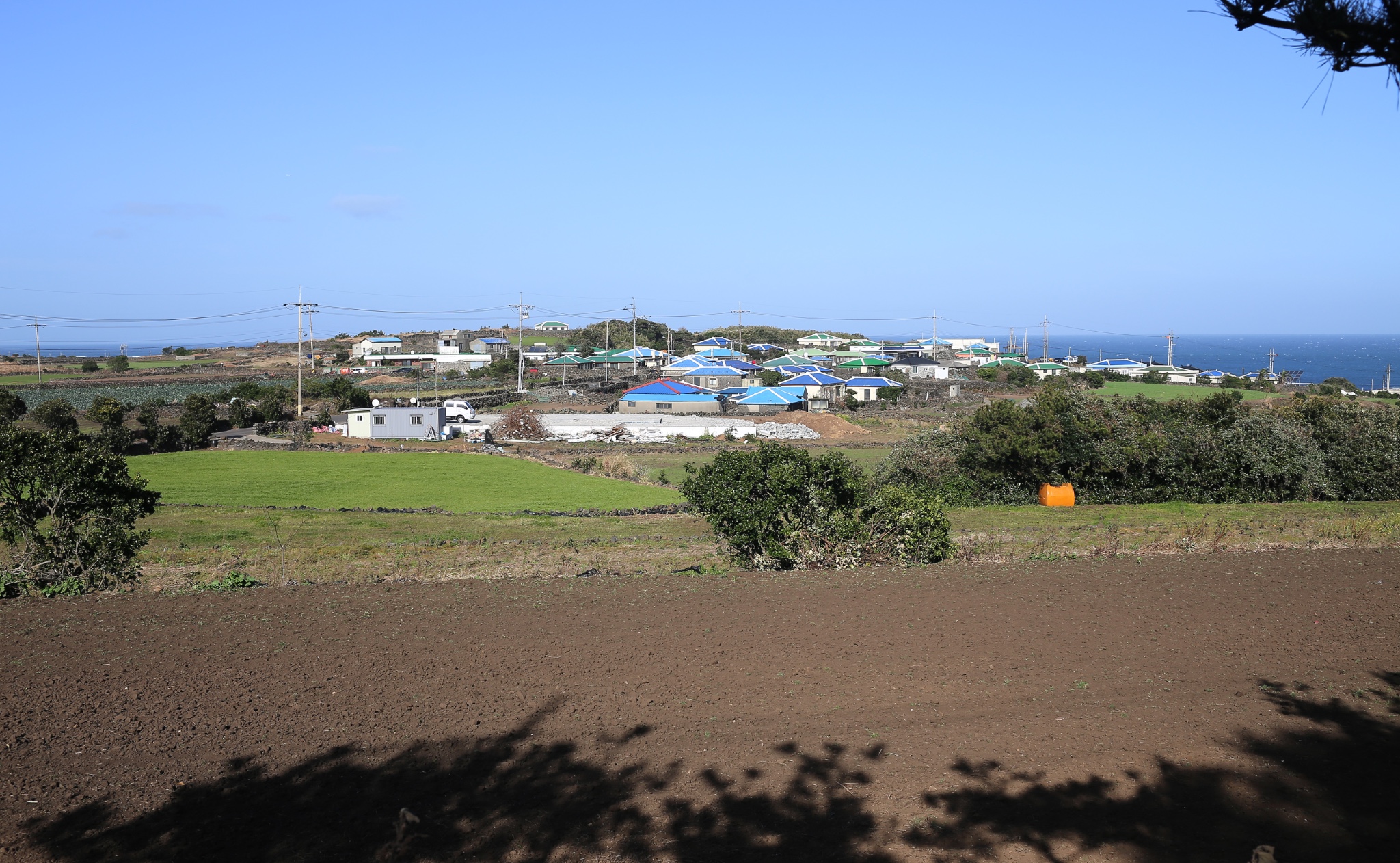 濟州島自助遊攻略