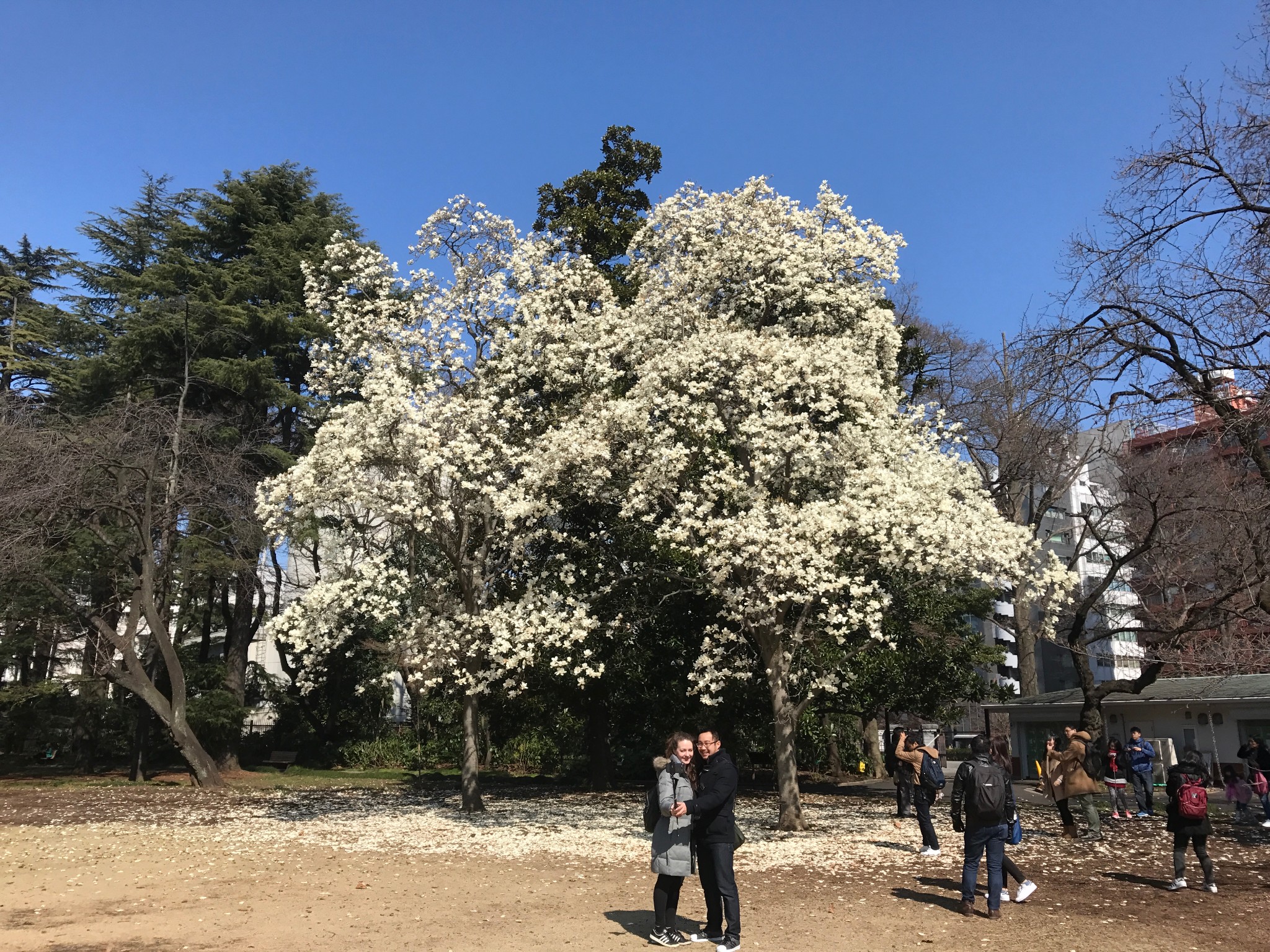 鐮倉自助遊攻略