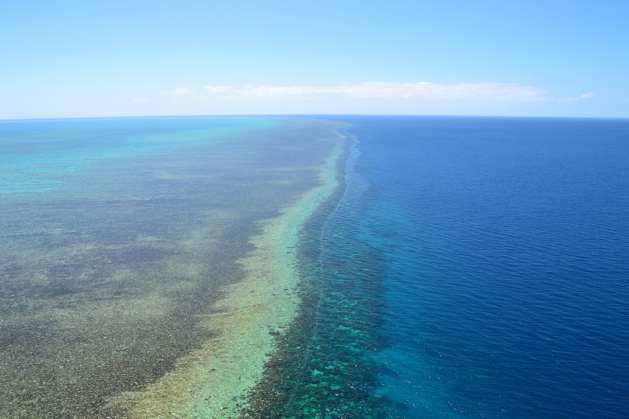 wKgBZ1iDWViAG-23AAsqNqnerrk86.jpeg?imageView2%2F2%2Fw%2F680%2Fq%2F90%7CimageMogr2%2Fstrip%2Fquality%2F90