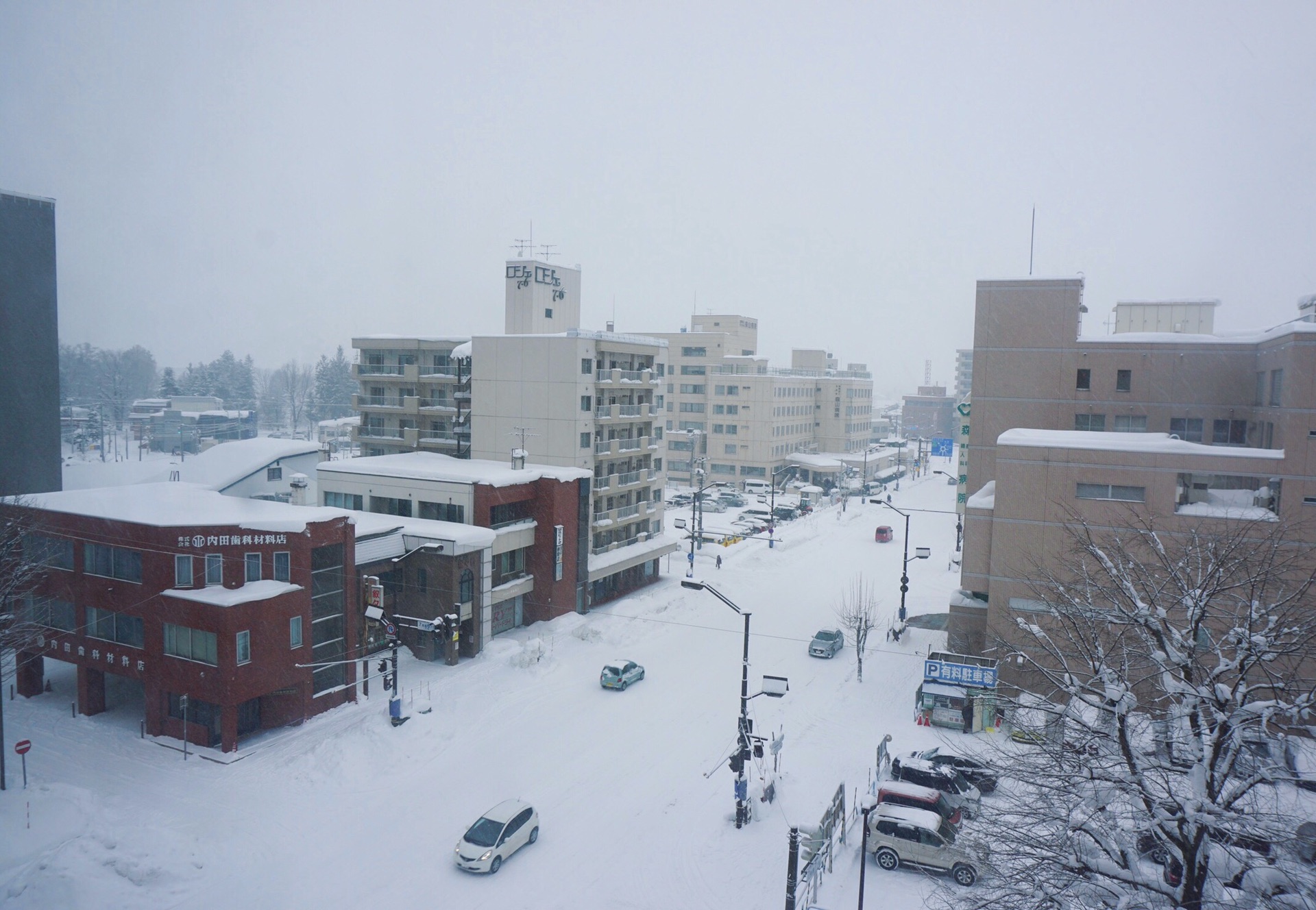 北海道自助遊攻略