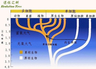 東非自助遊攻略