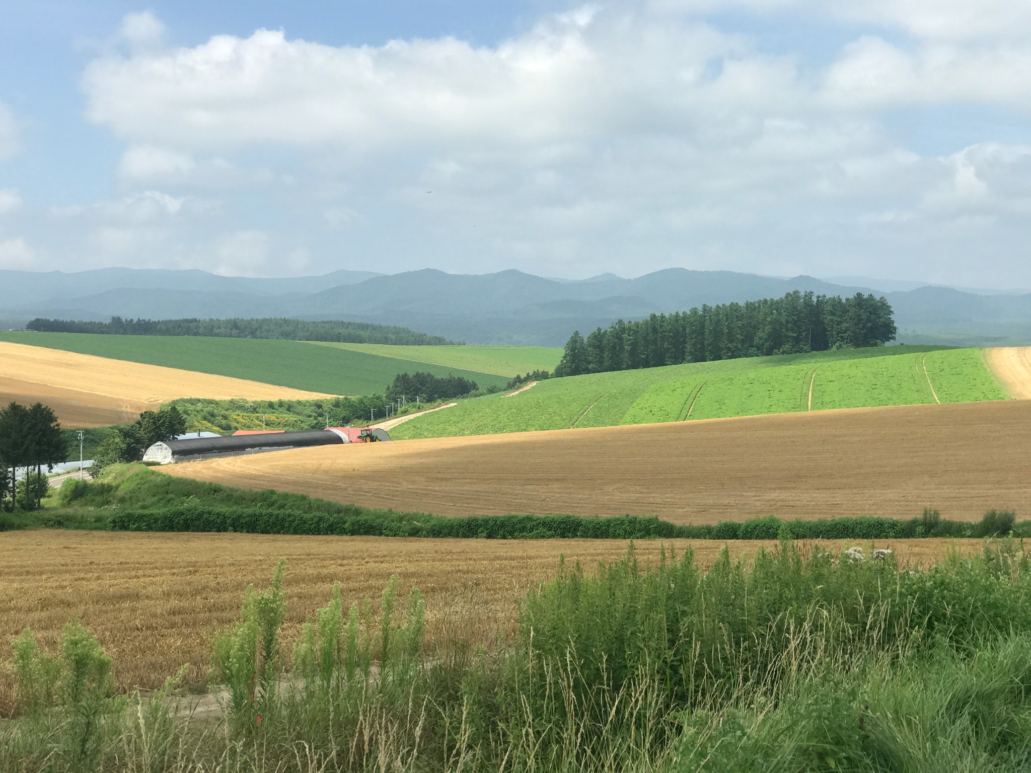 北海道自助遊攻略