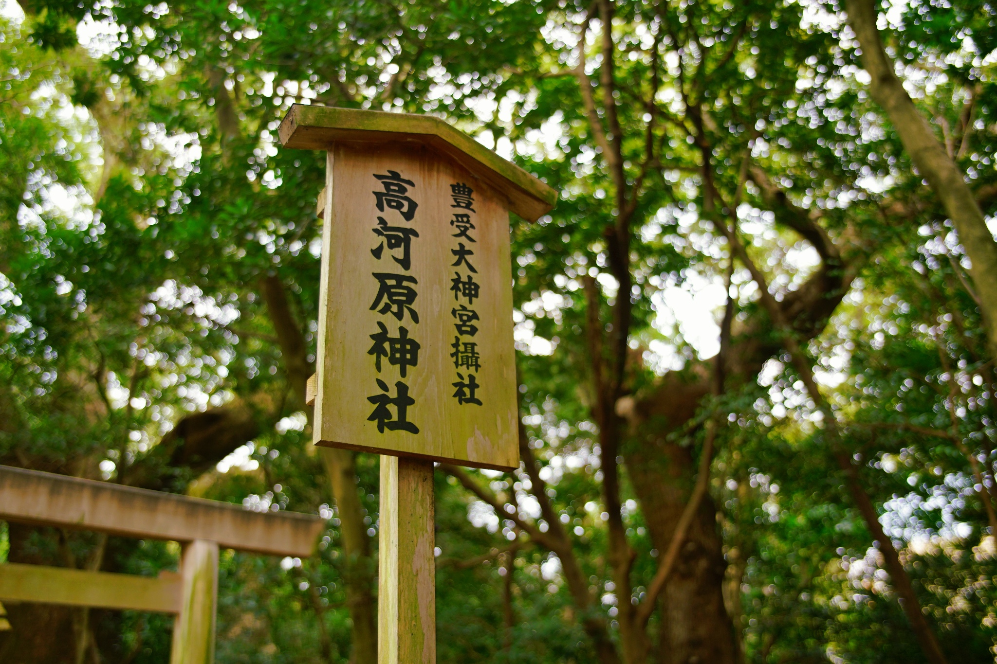 名古屋自助遊攻略