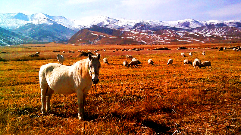 给五路财神上香一长两短