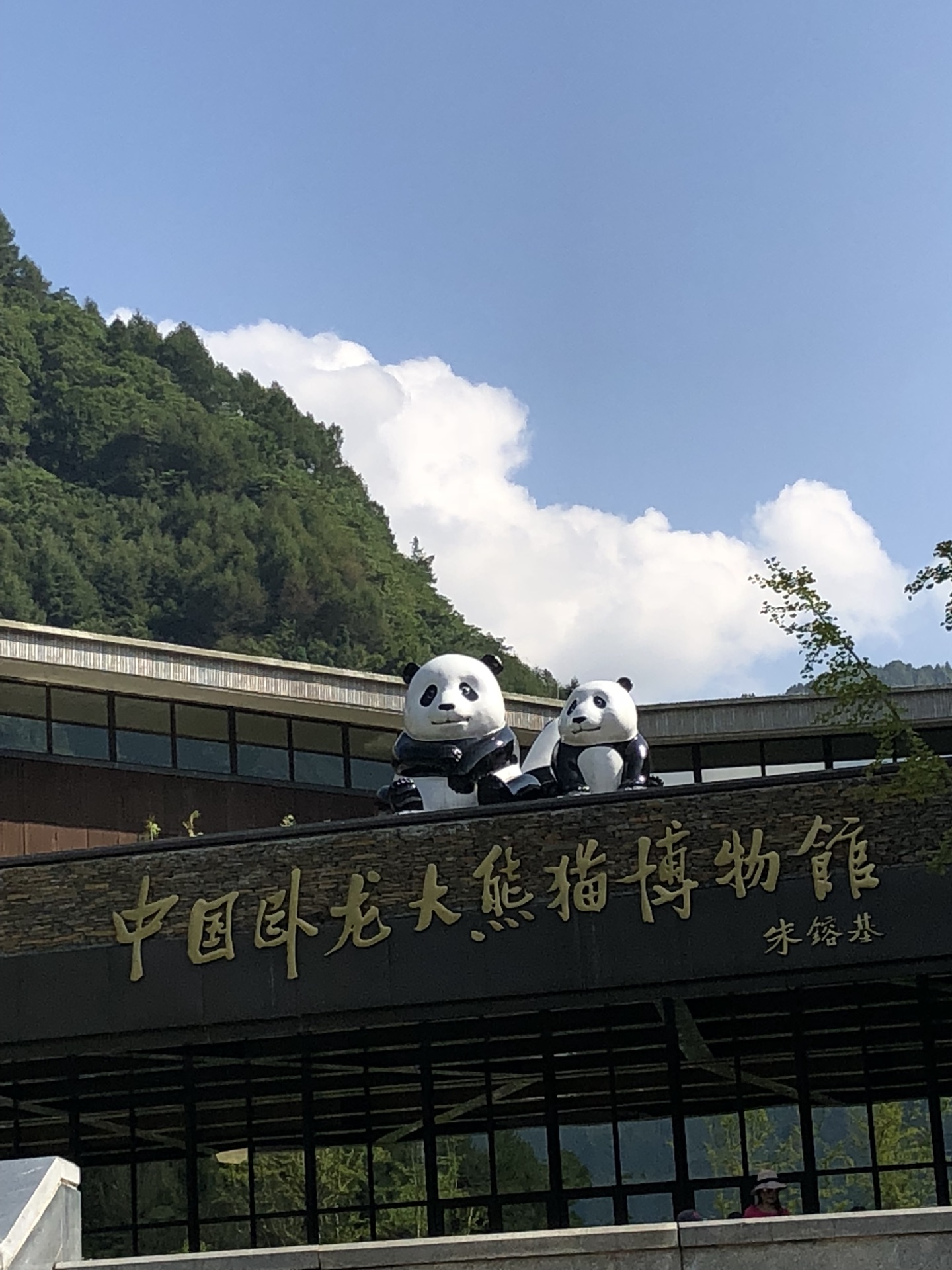 四川卧龙大熊猫基地图片