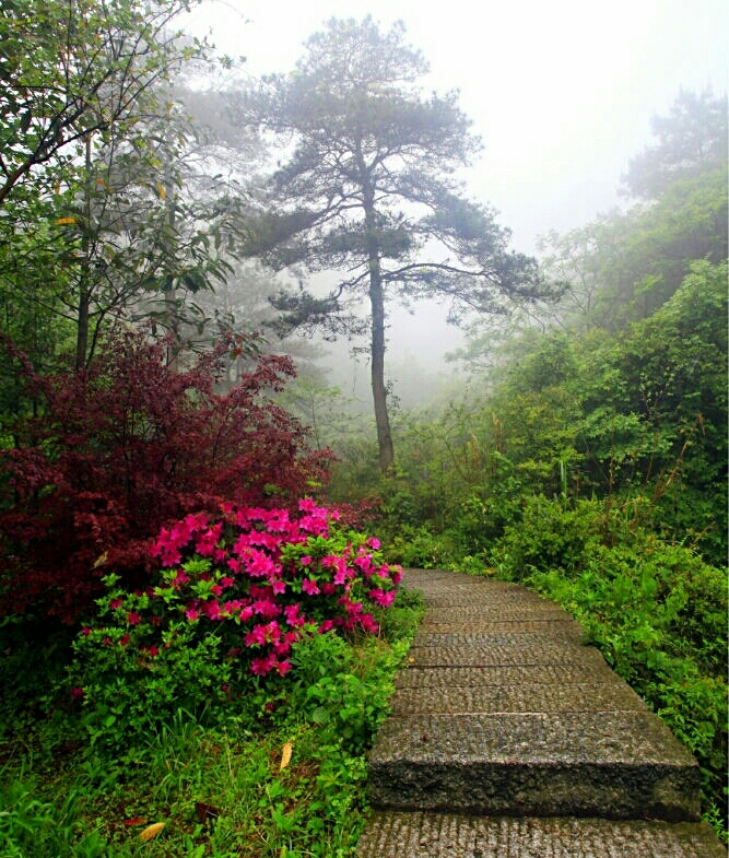 衡山自助遊攻略