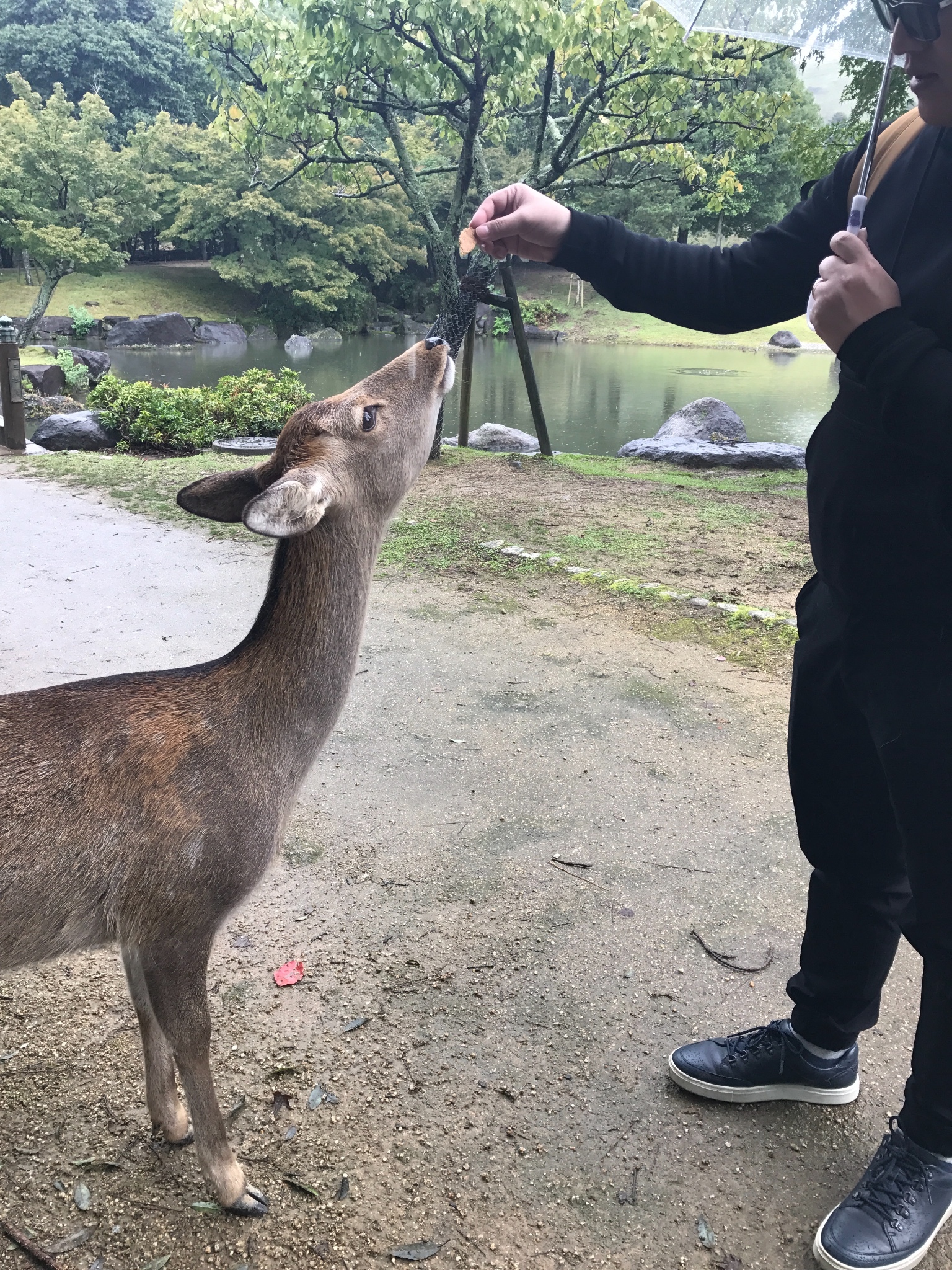 北海道自助遊攻略