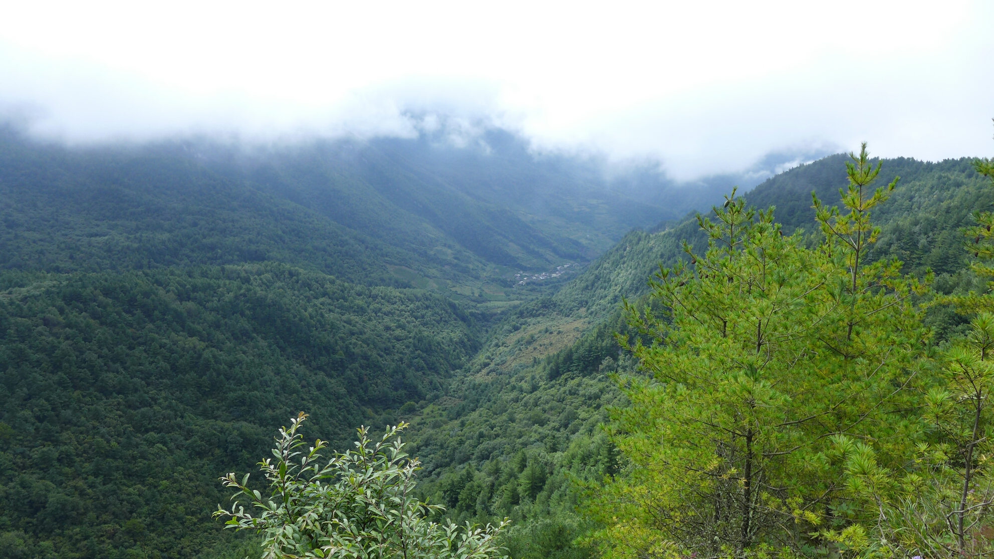 牛背山自助遊攻略