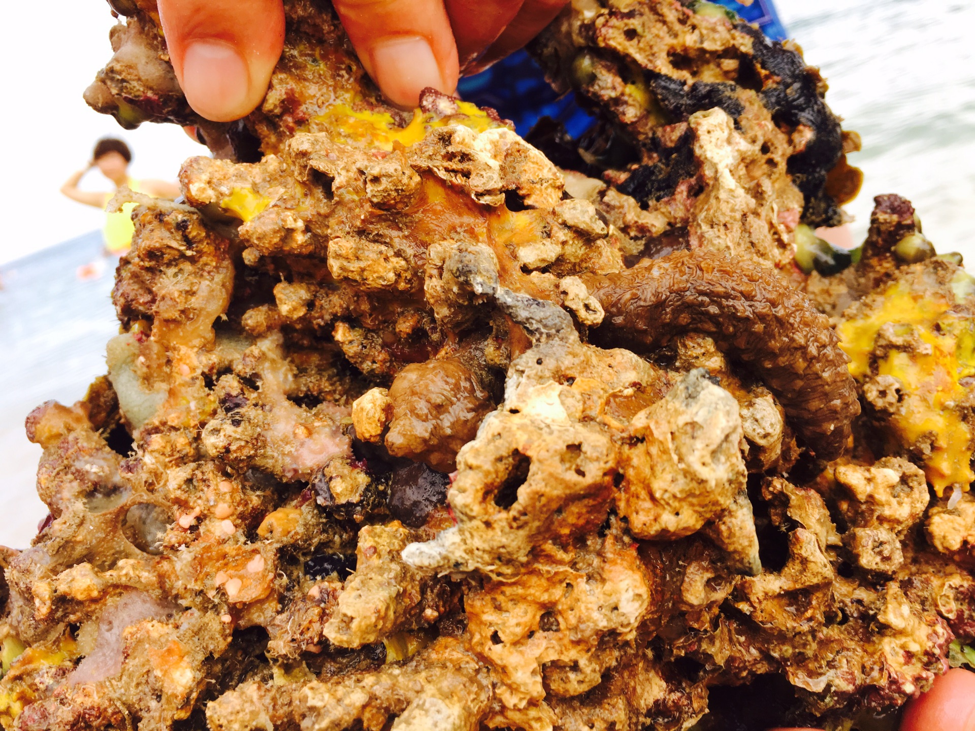 潜在产出是什么情况下生产的真实gdp(3)