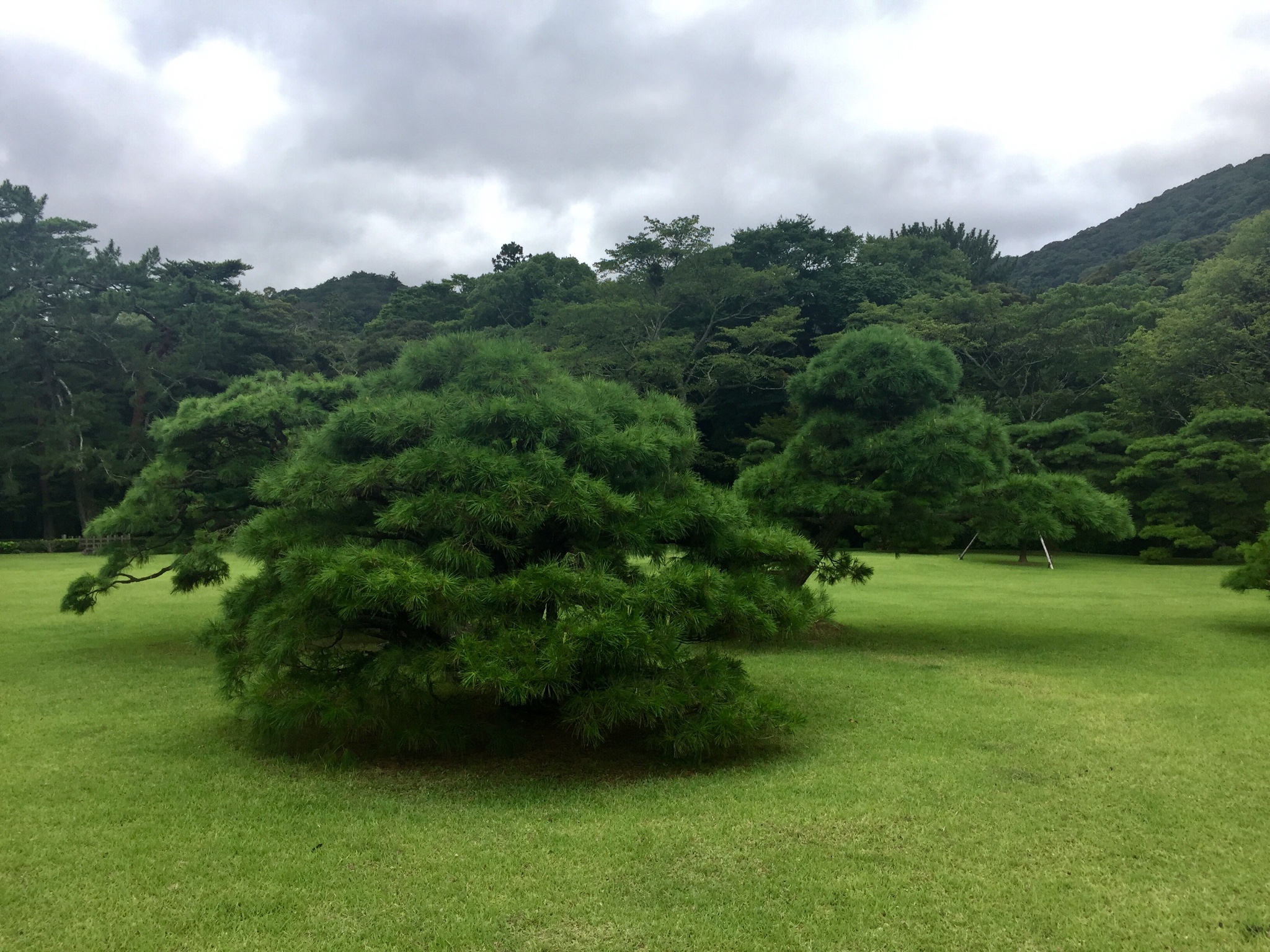 名古屋自助遊攻略