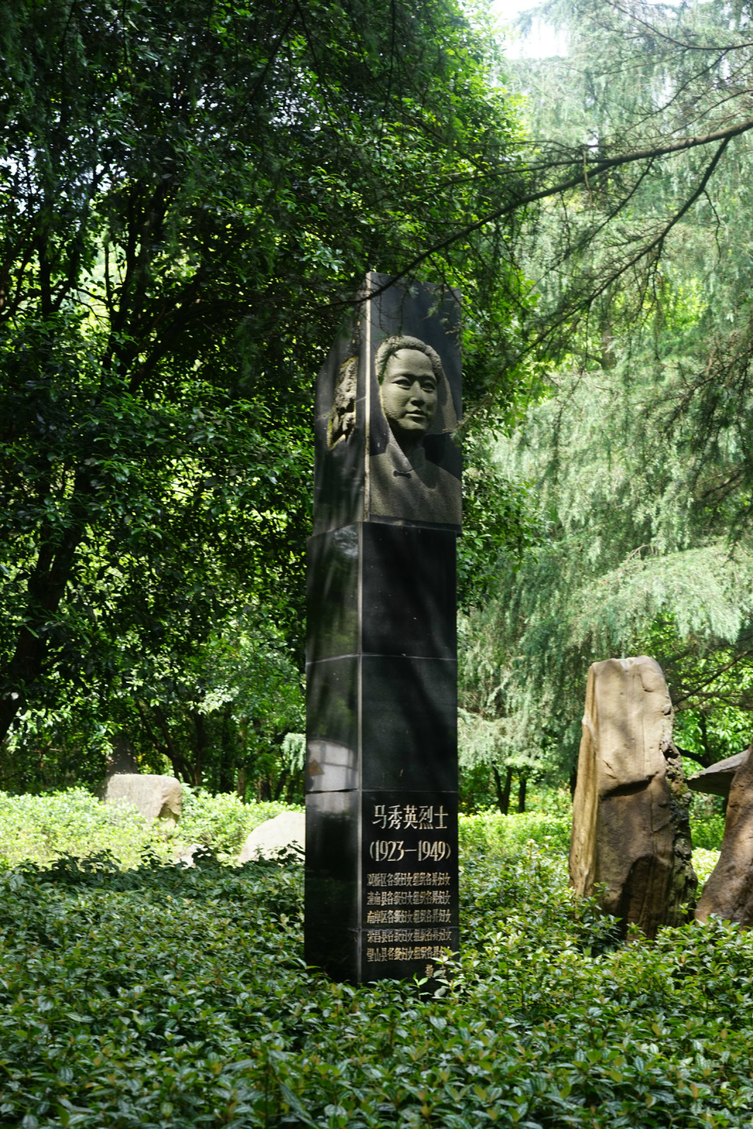 引用 ～云青青～ 的图片