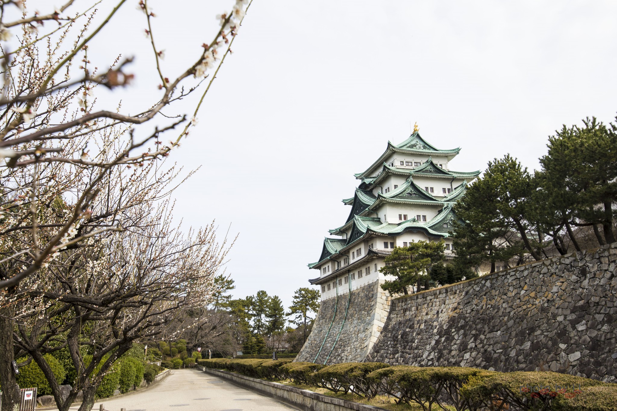 名古屋自助遊攻略