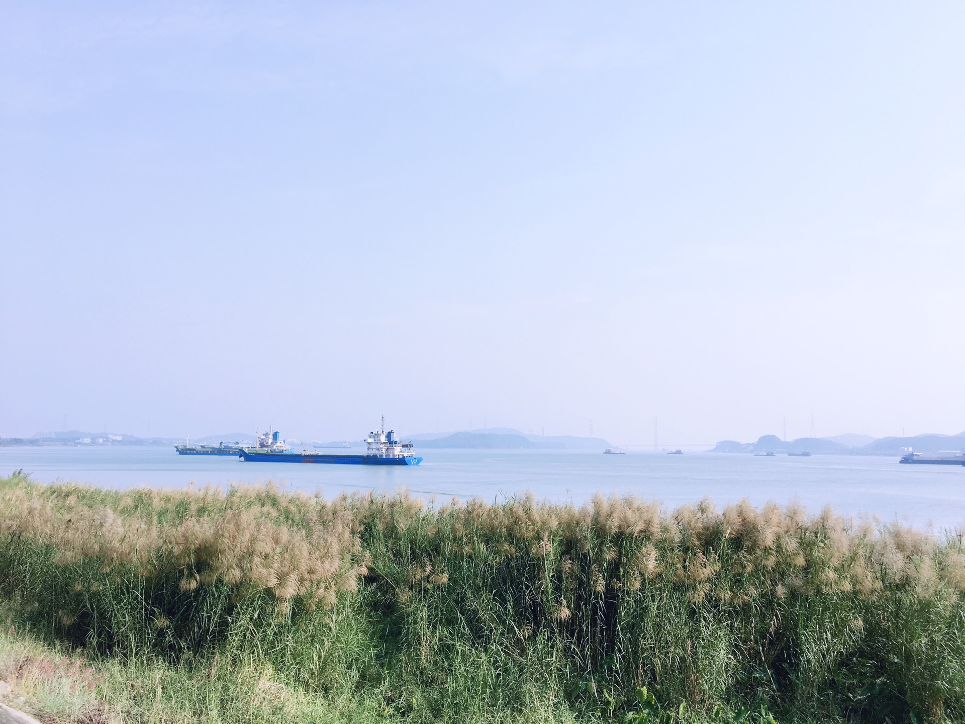 回复游记:佛山九江沙口