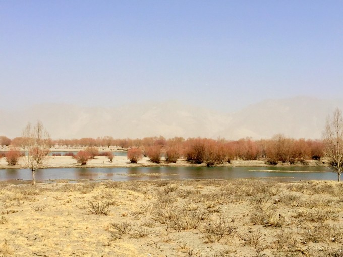 河什么树成语_成语故事图片(3)