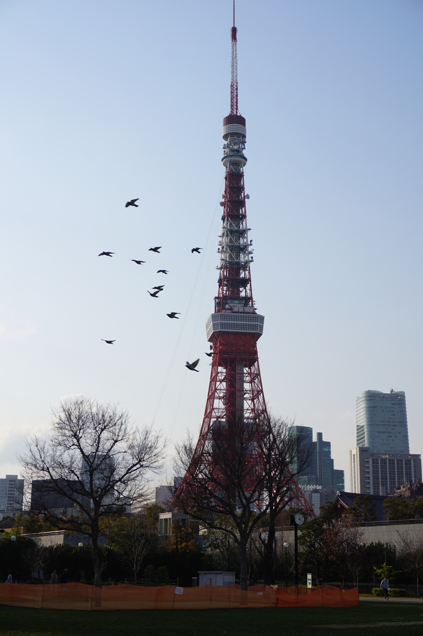 東京自助遊攻略