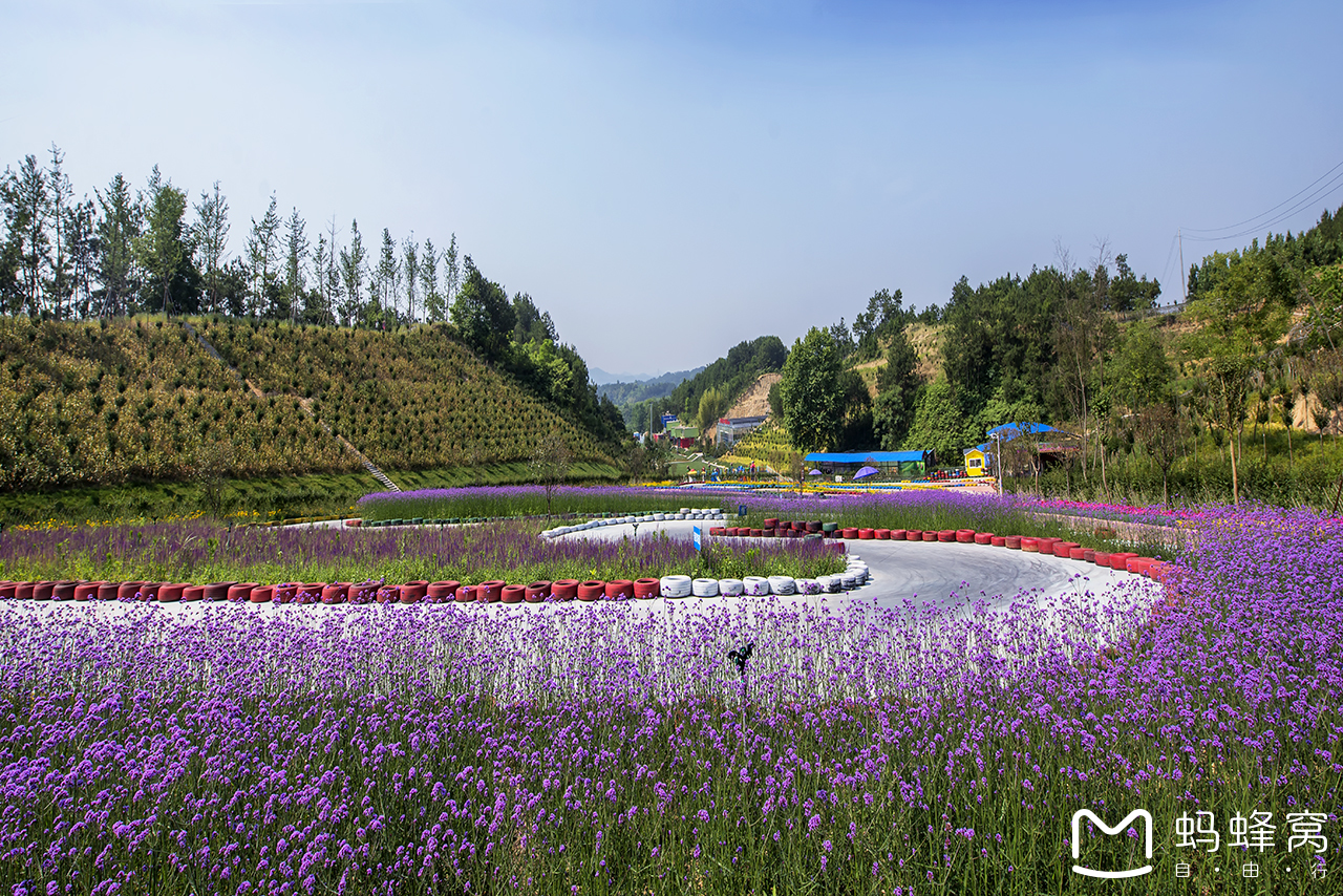 英山四季花海