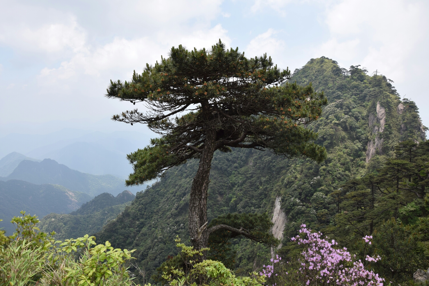 三清山自助遊攻略