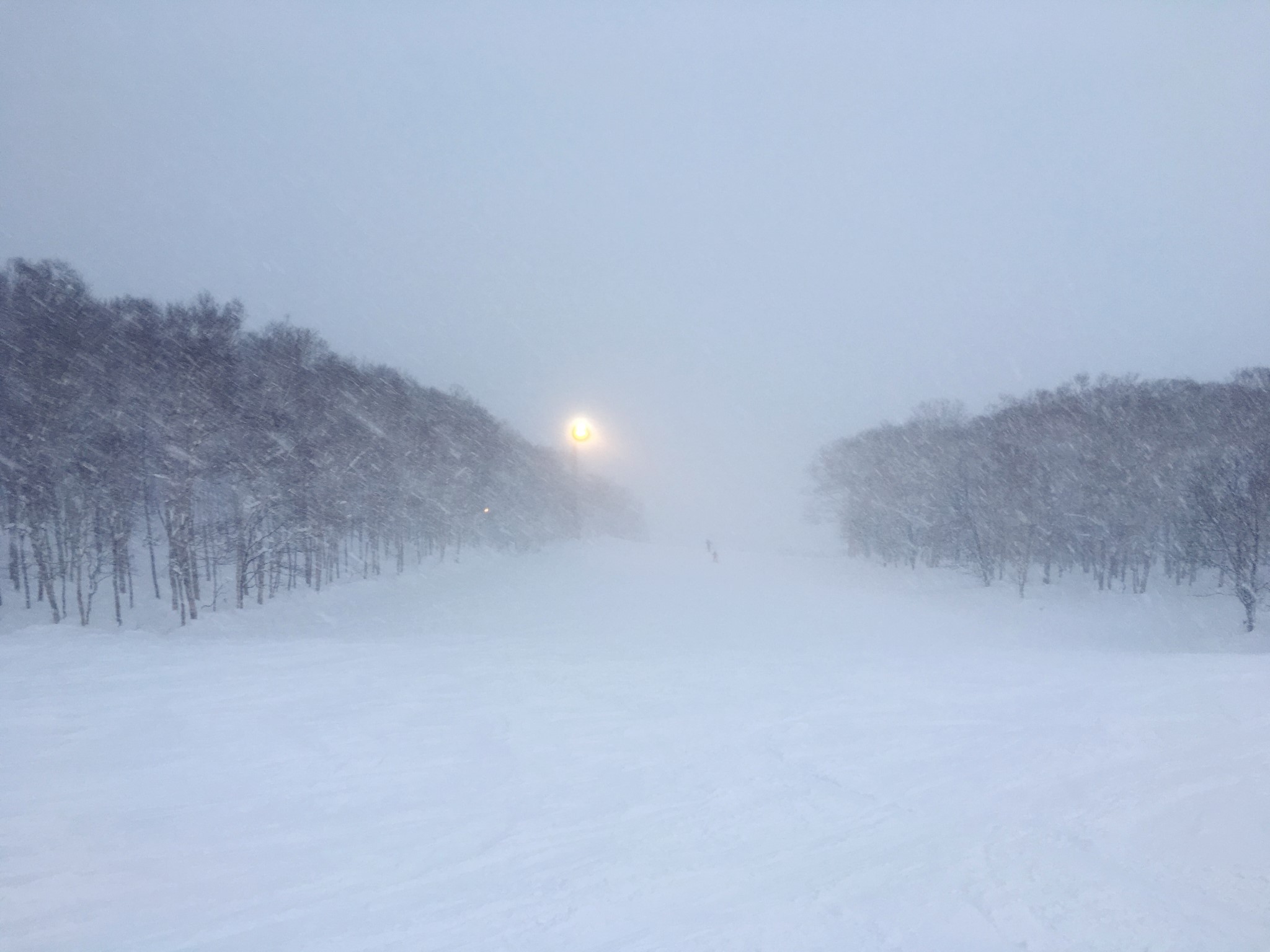 北海道自助遊攻略