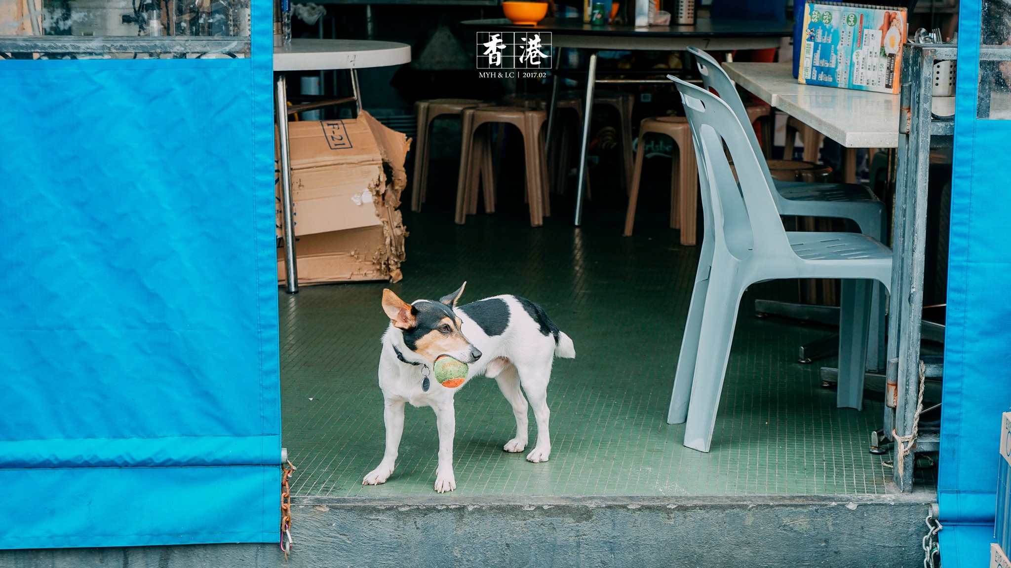 香港自助遊攻略