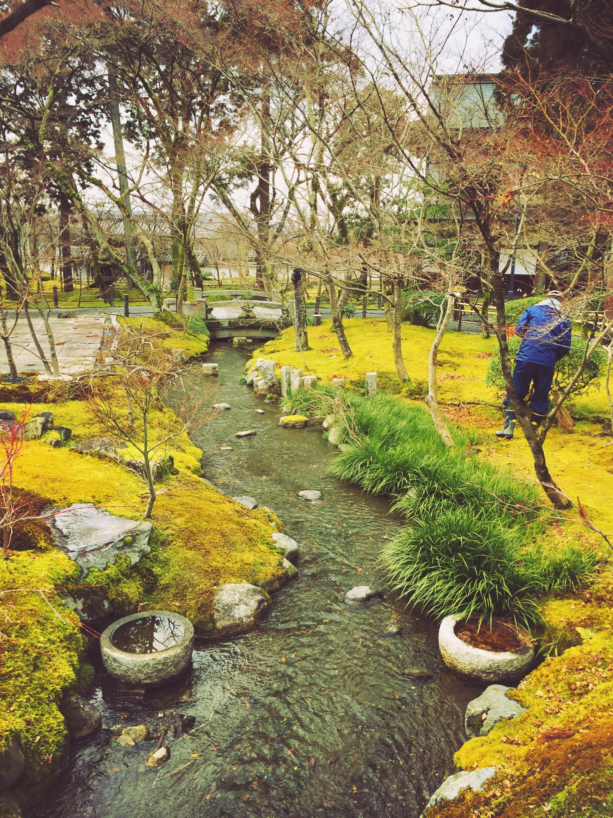 京都自助遊攻略