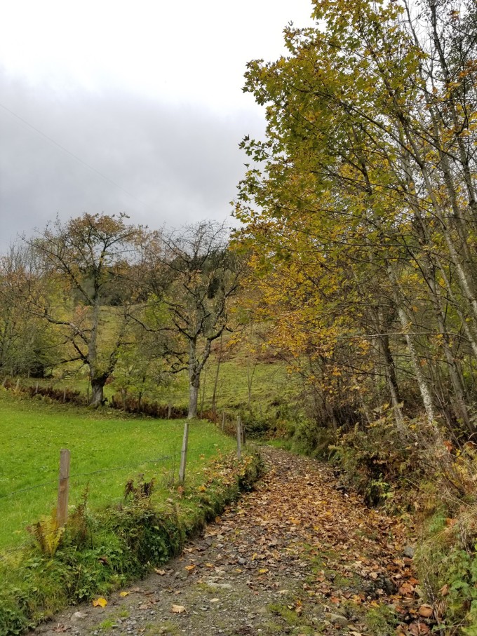 不输瑞士!奥地利高山公路自驾推荐 Grossglock