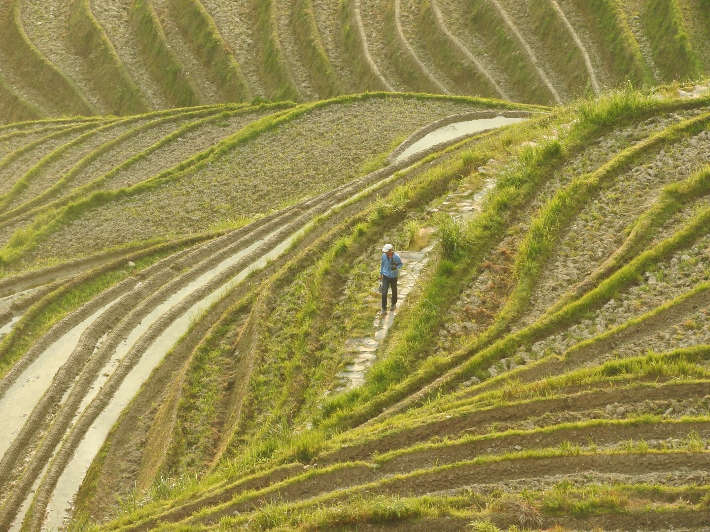 龍脊梯田自助遊攻略