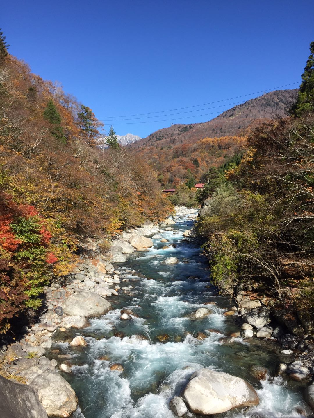 名古屋自助遊攻略