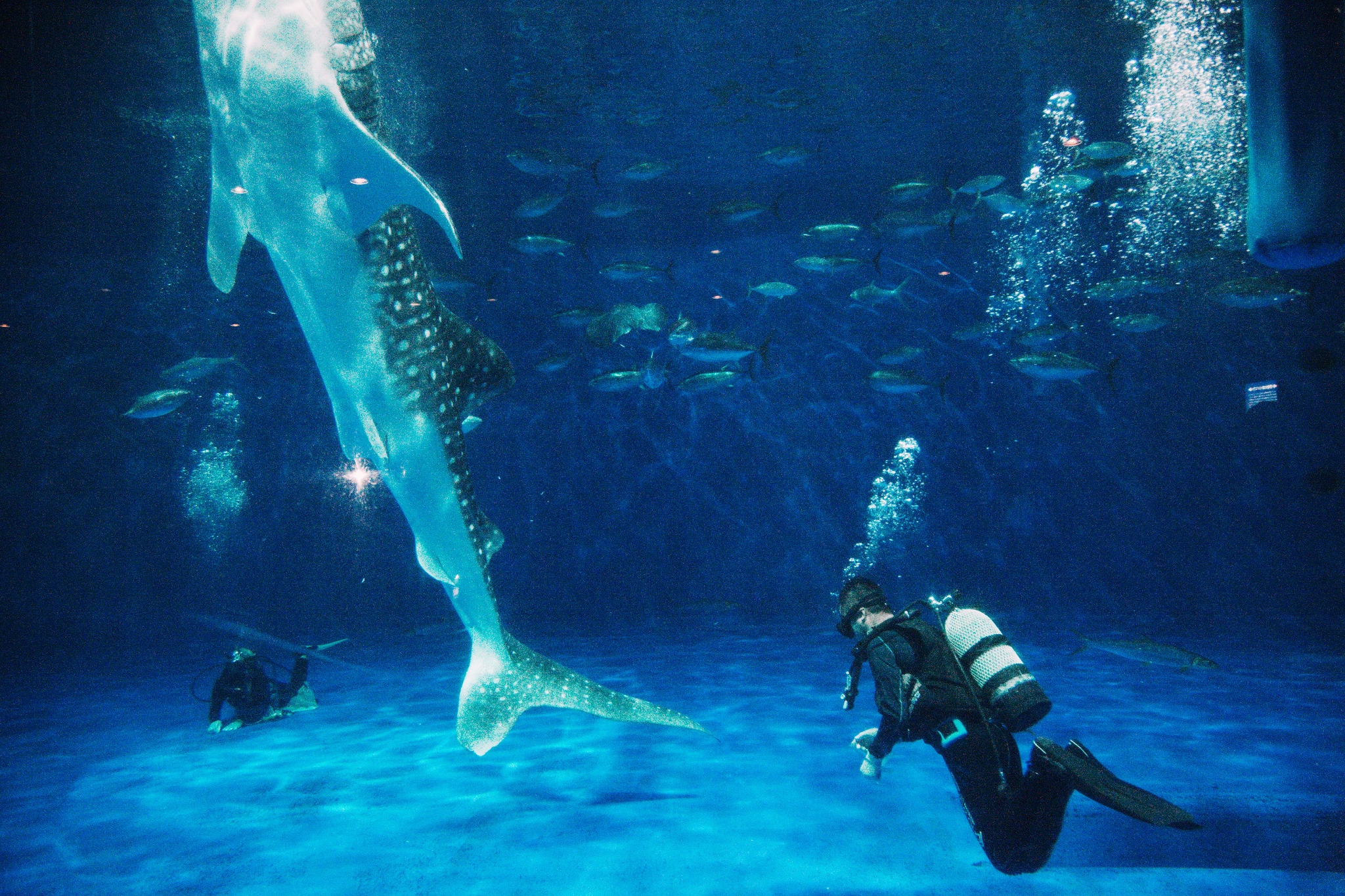 wKgBZ1mEBS-AV-0GABlxDtMGdzs61.jpeg?imageView2%2F2%2Fw%2F680%2Fq%2F90