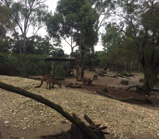 走过南半球的夏天,结束亦是开始.