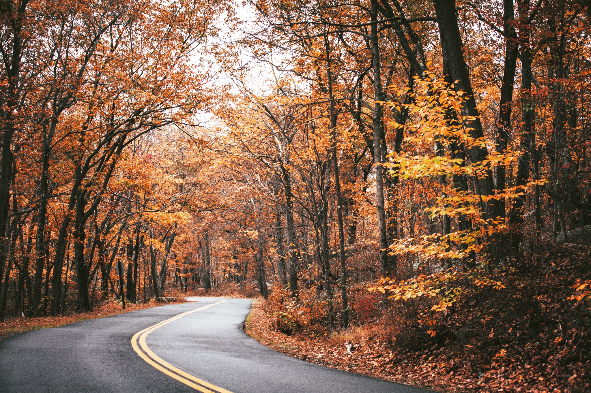 握紧手中的秋天丨美东自驾寻秋色