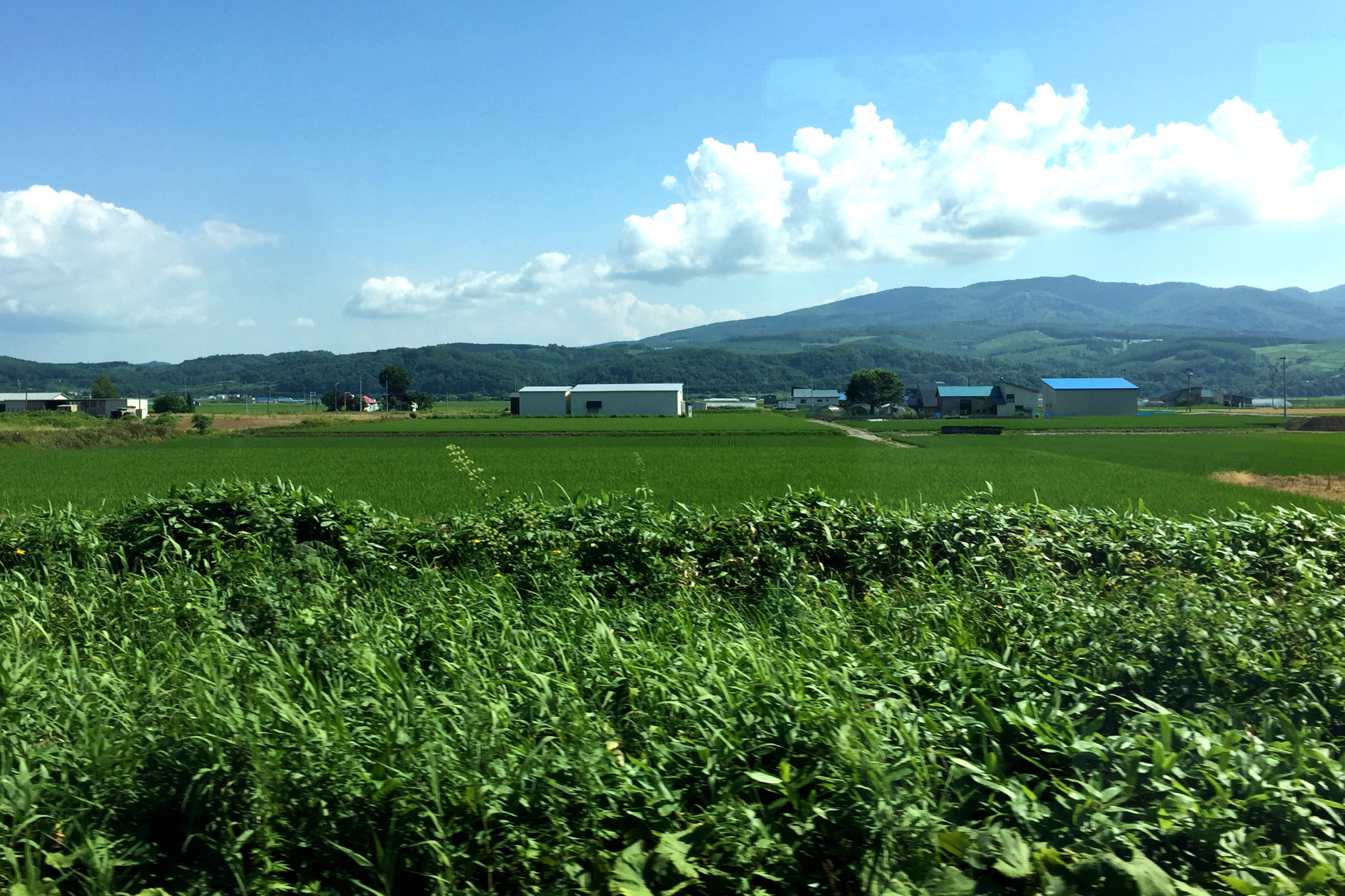 北海道自助遊攻略