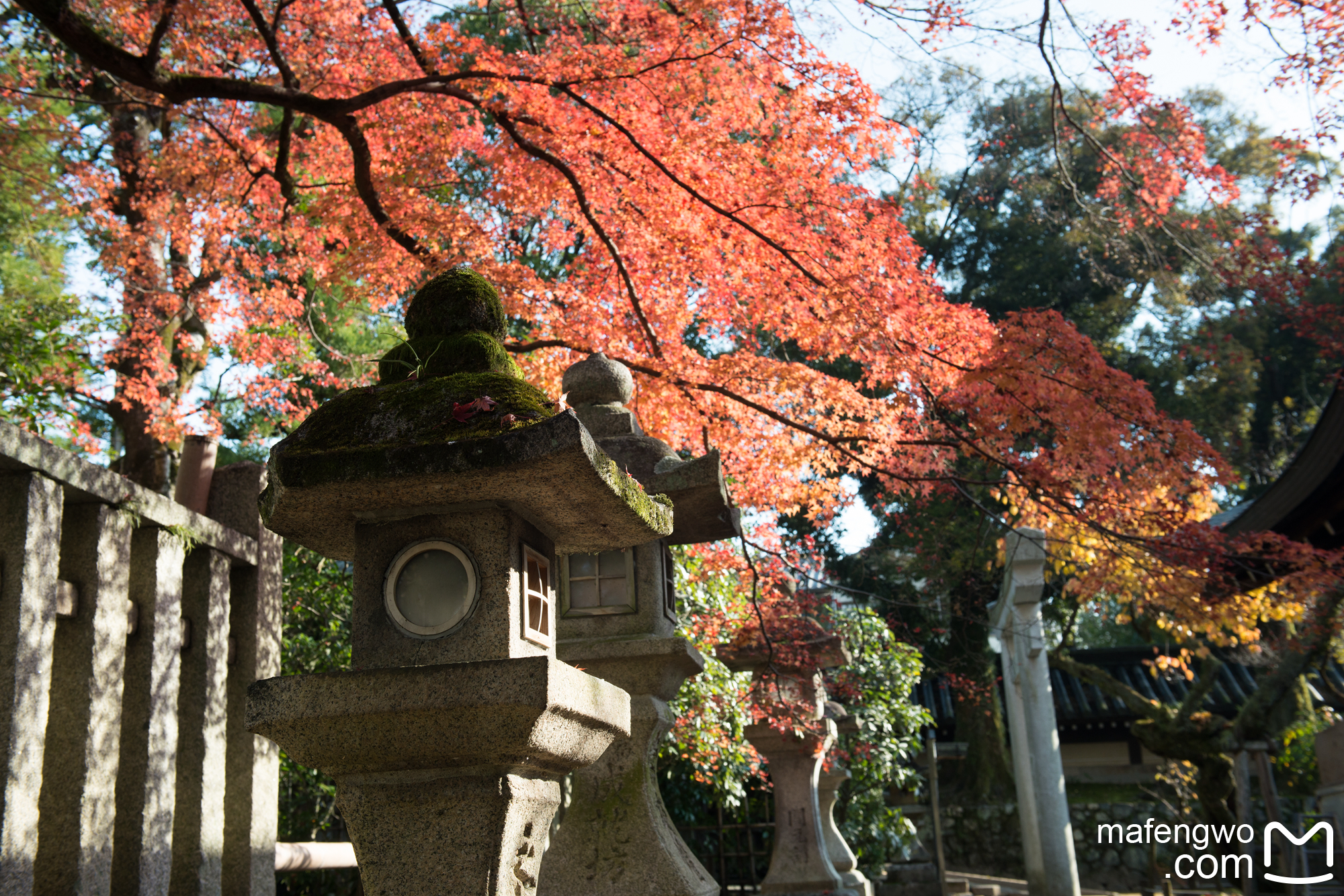 京都自助遊攻略