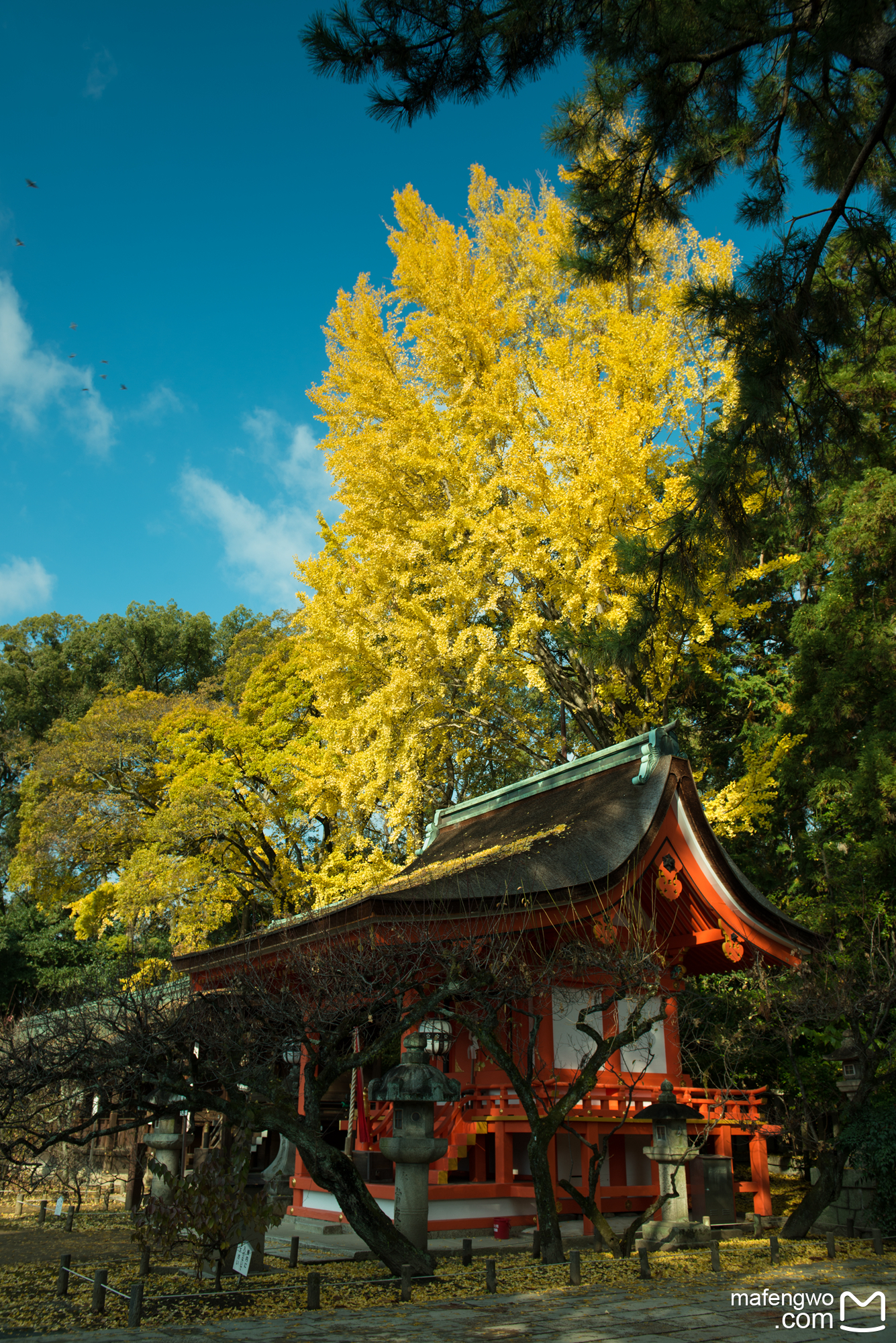 京都自助遊攻略