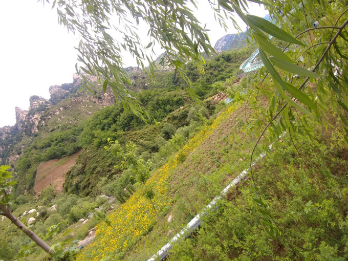 风云起 四季变--漫山花溪谷 一场因天气而纠结