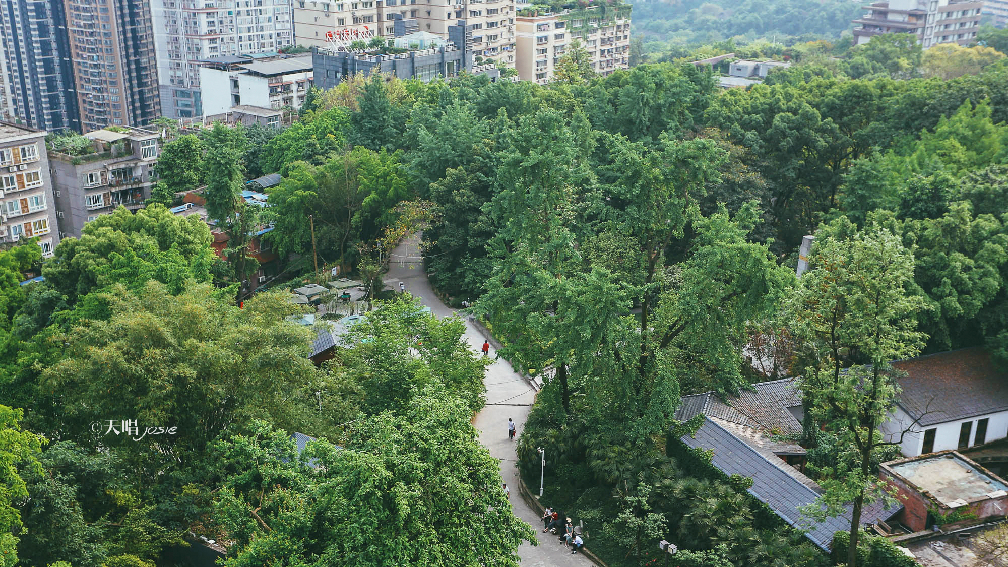 重慶自助遊攻略