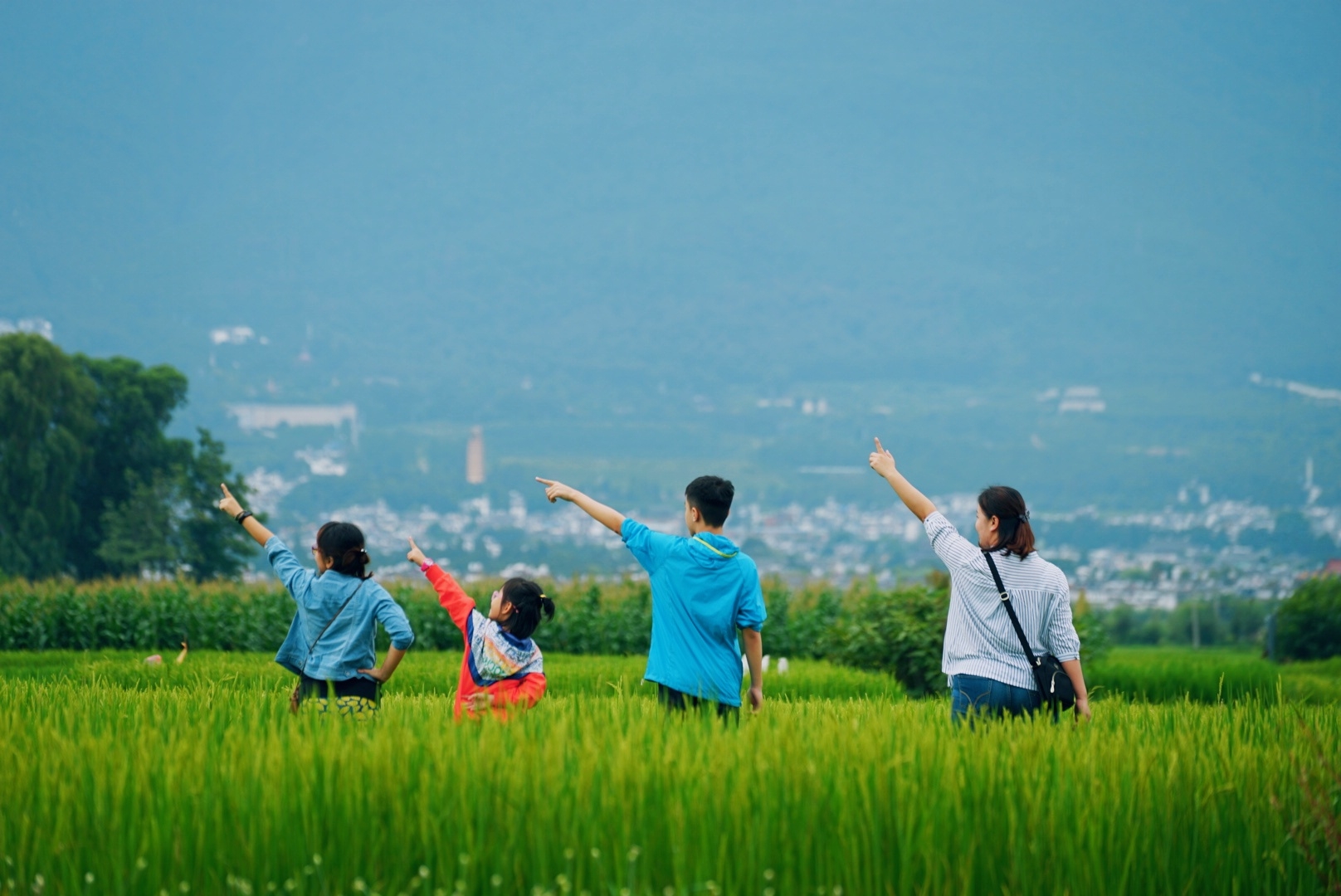 雲南自助遊攻略