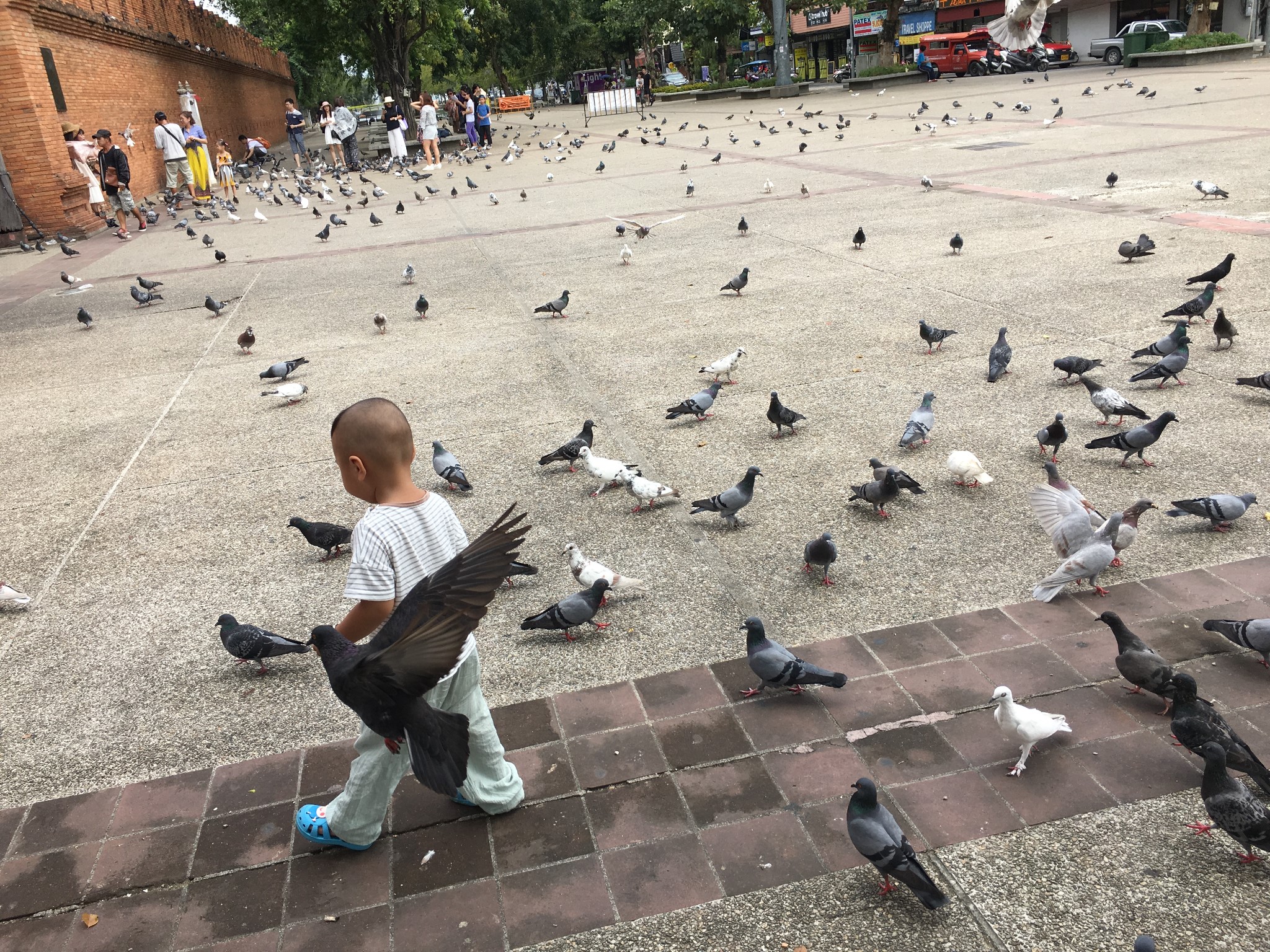 泰國自助遊攻略