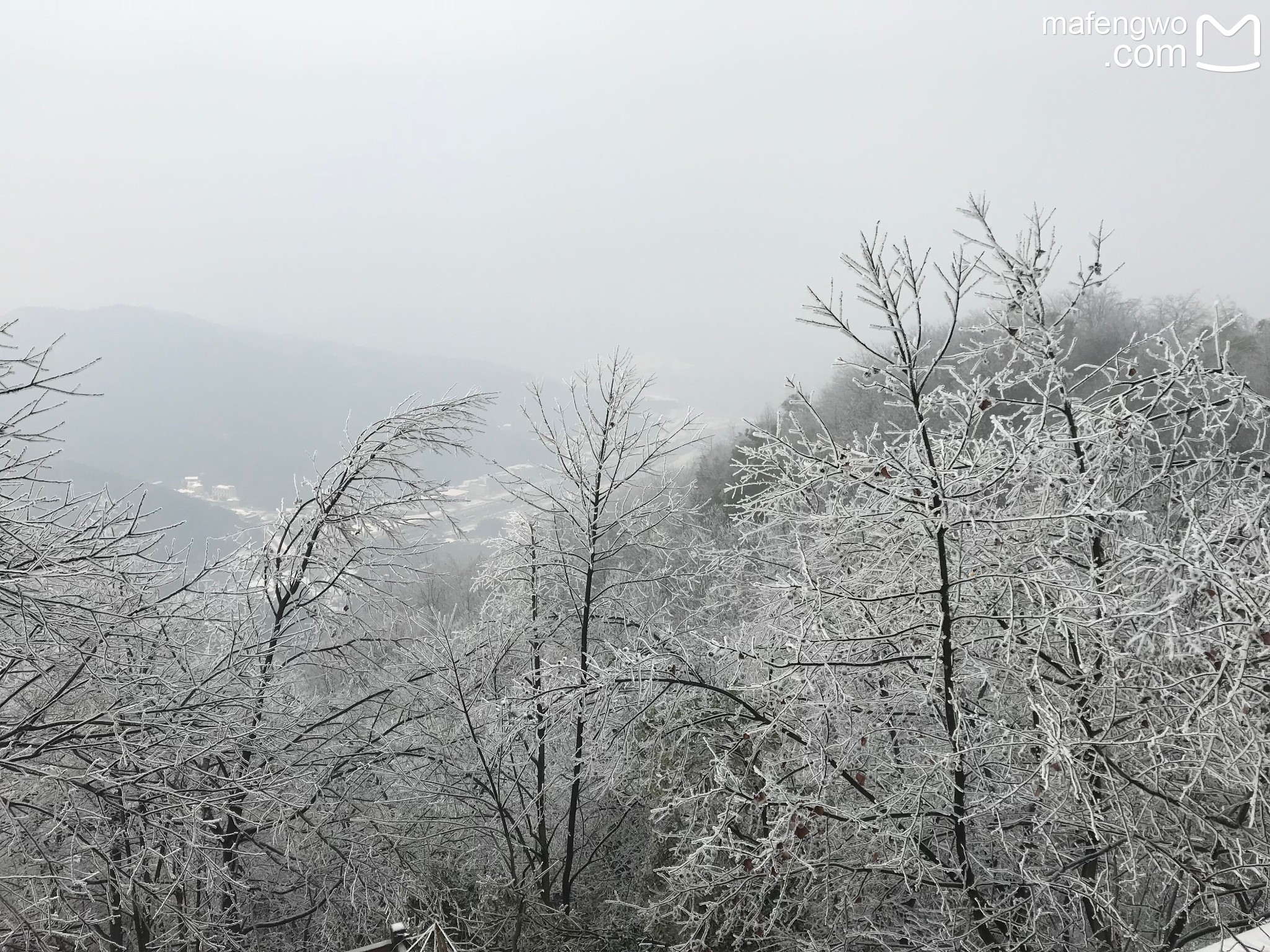 wKgBEFr0IxyACJQ2ABDM-Hyng8k69.jpeg?imageView2%2F2%2Fw%2F680%2Fq%2F90%7CimageMogr2%2Fstrip%2Fquality%2F90