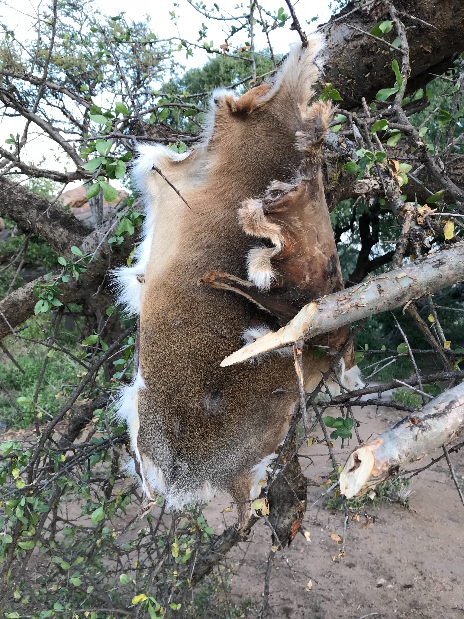 坦桑尼亞自助遊攻略