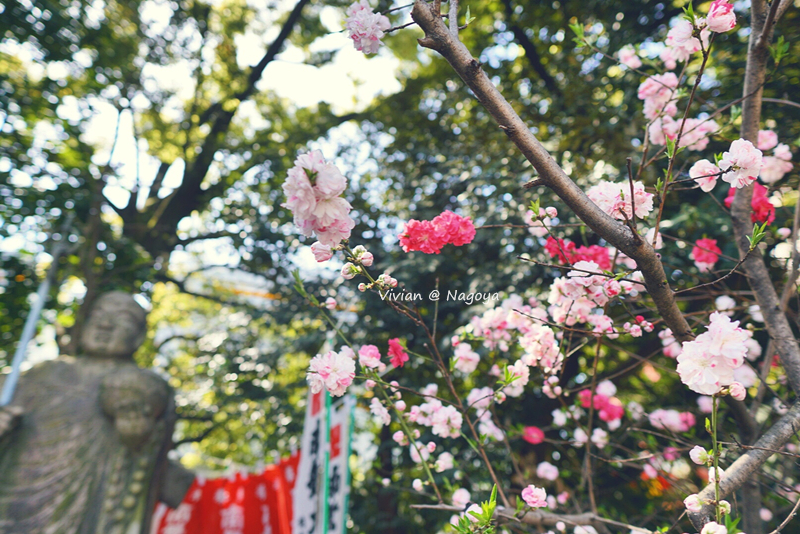 名古屋自助遊攻略