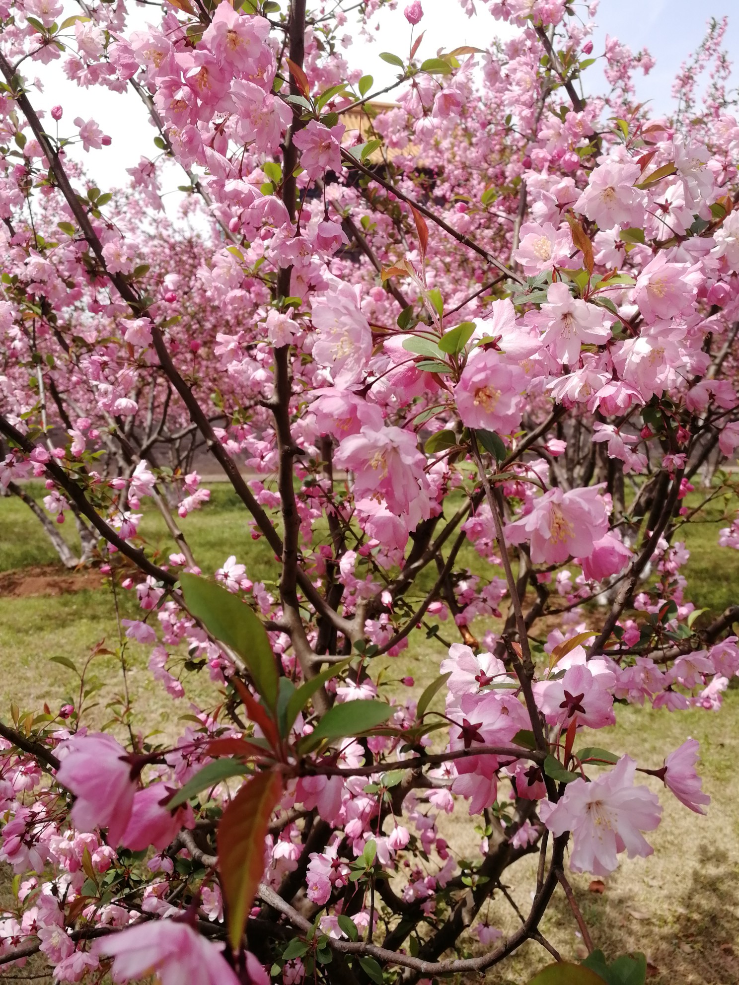 wKgBEFq-YemAcwS_AA1dqcC1b4o70.jpeg?imageView2%2F2%2Fw%2F680%2Fq%2F90%7CimageMogr2%2Fstrip%2Fquality%2F90