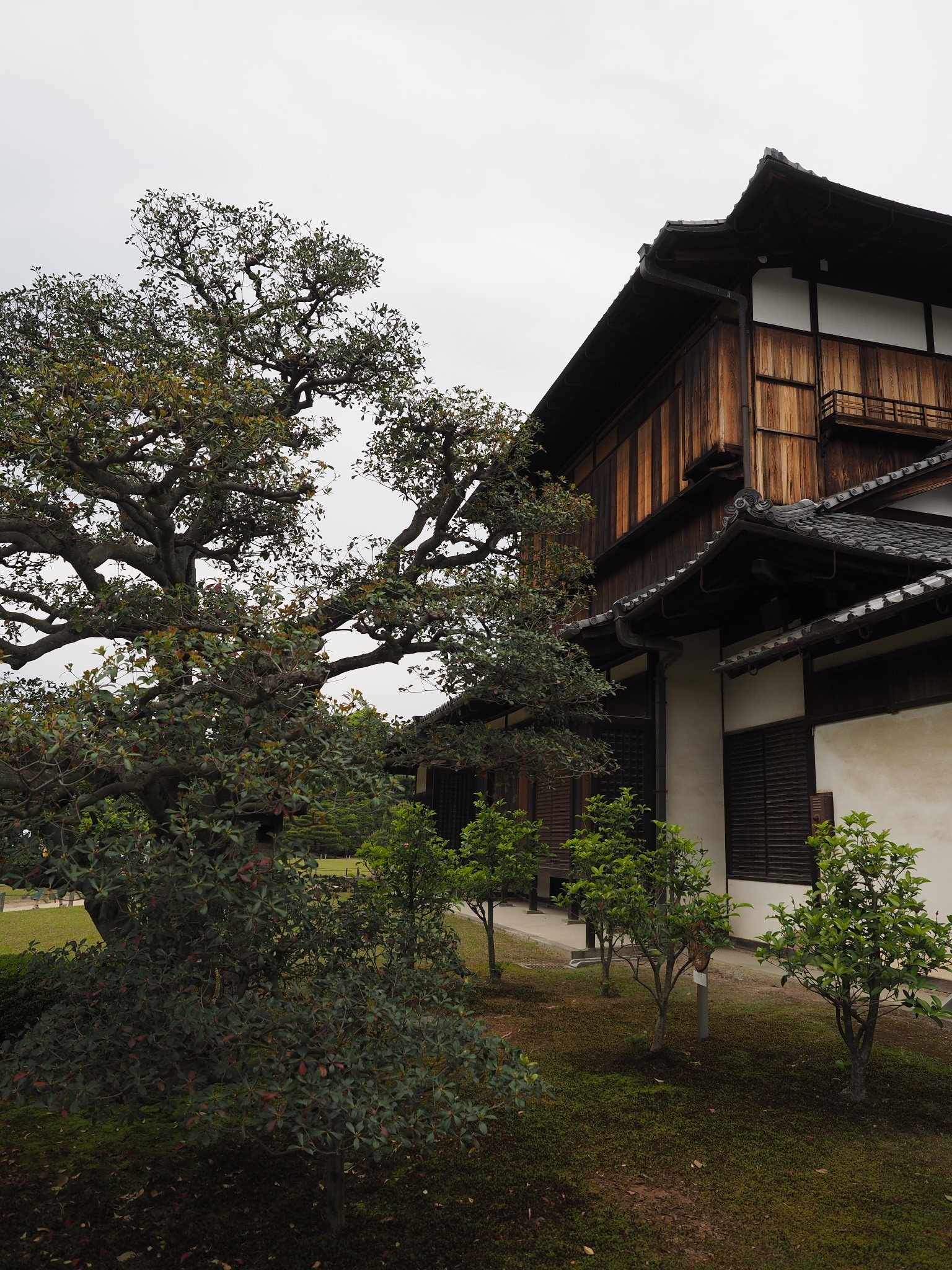 京都自助遊攻略