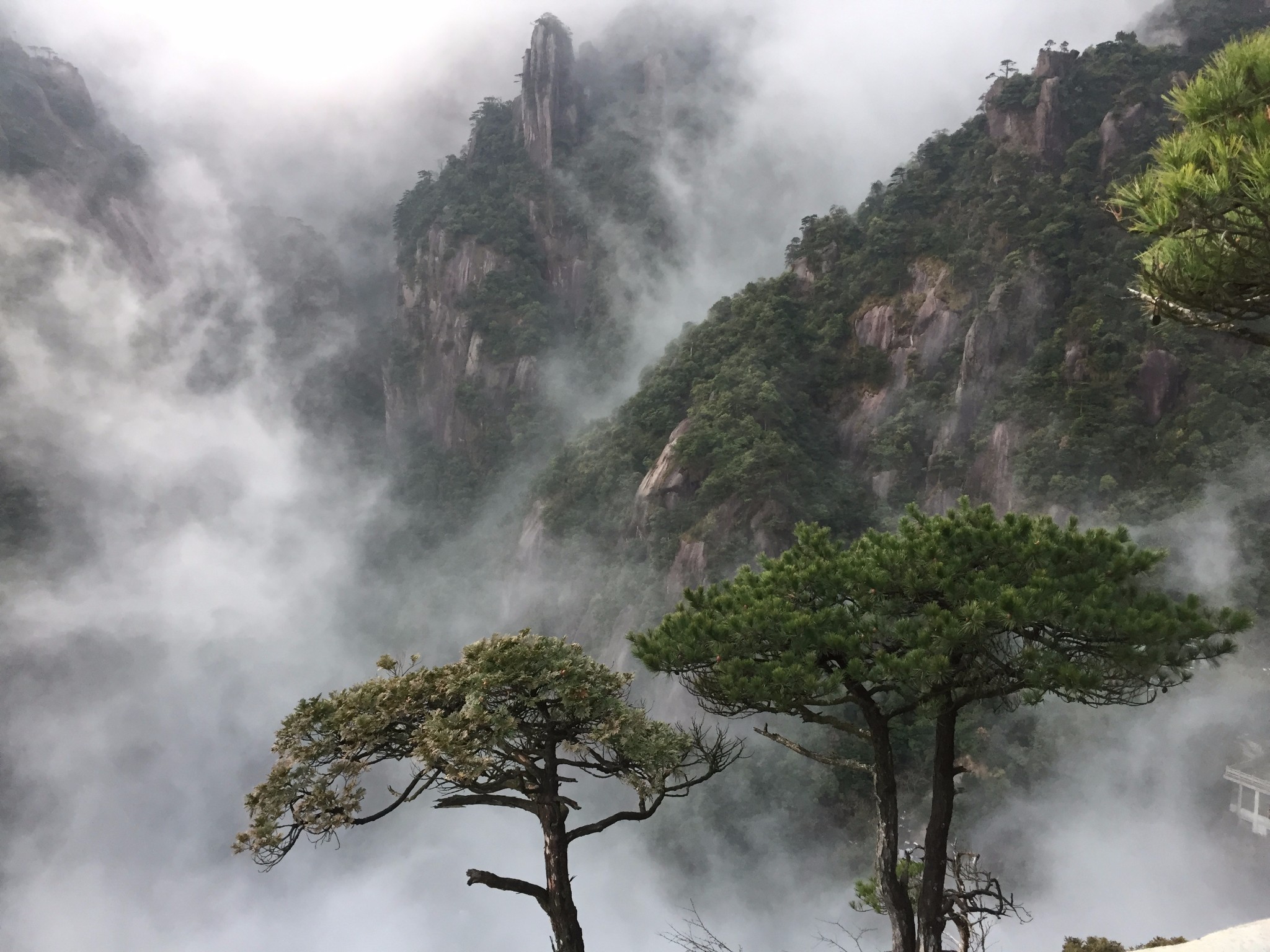 三清山自助遊攻略