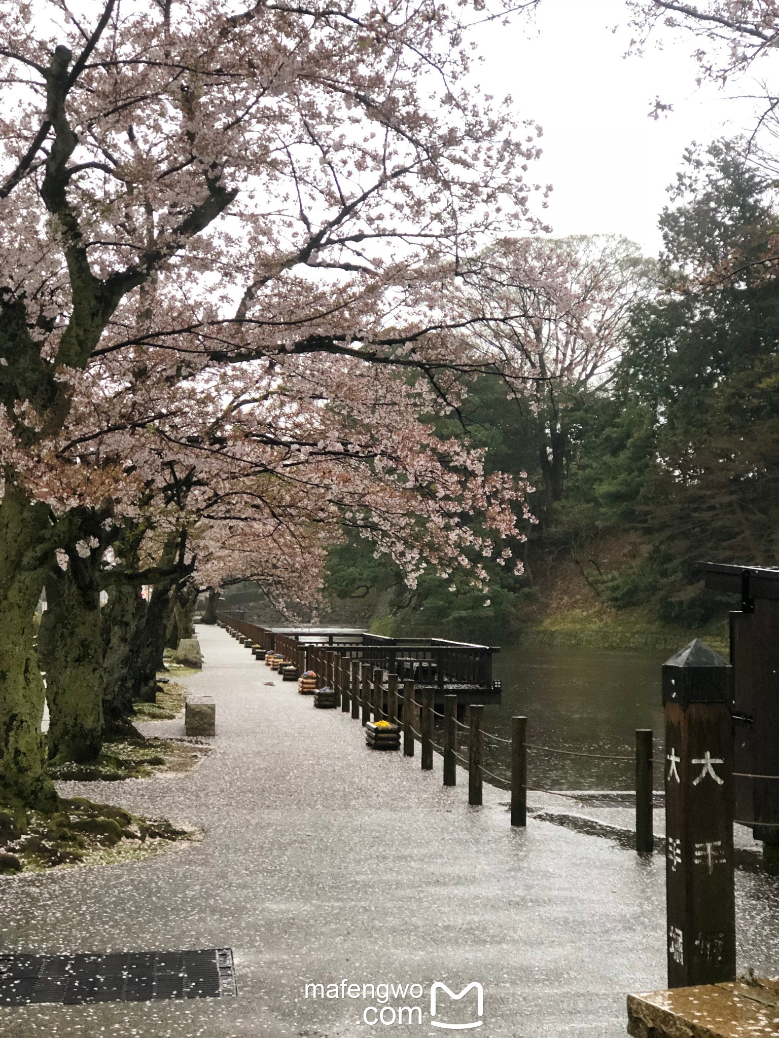 名古屋自助遊攻略